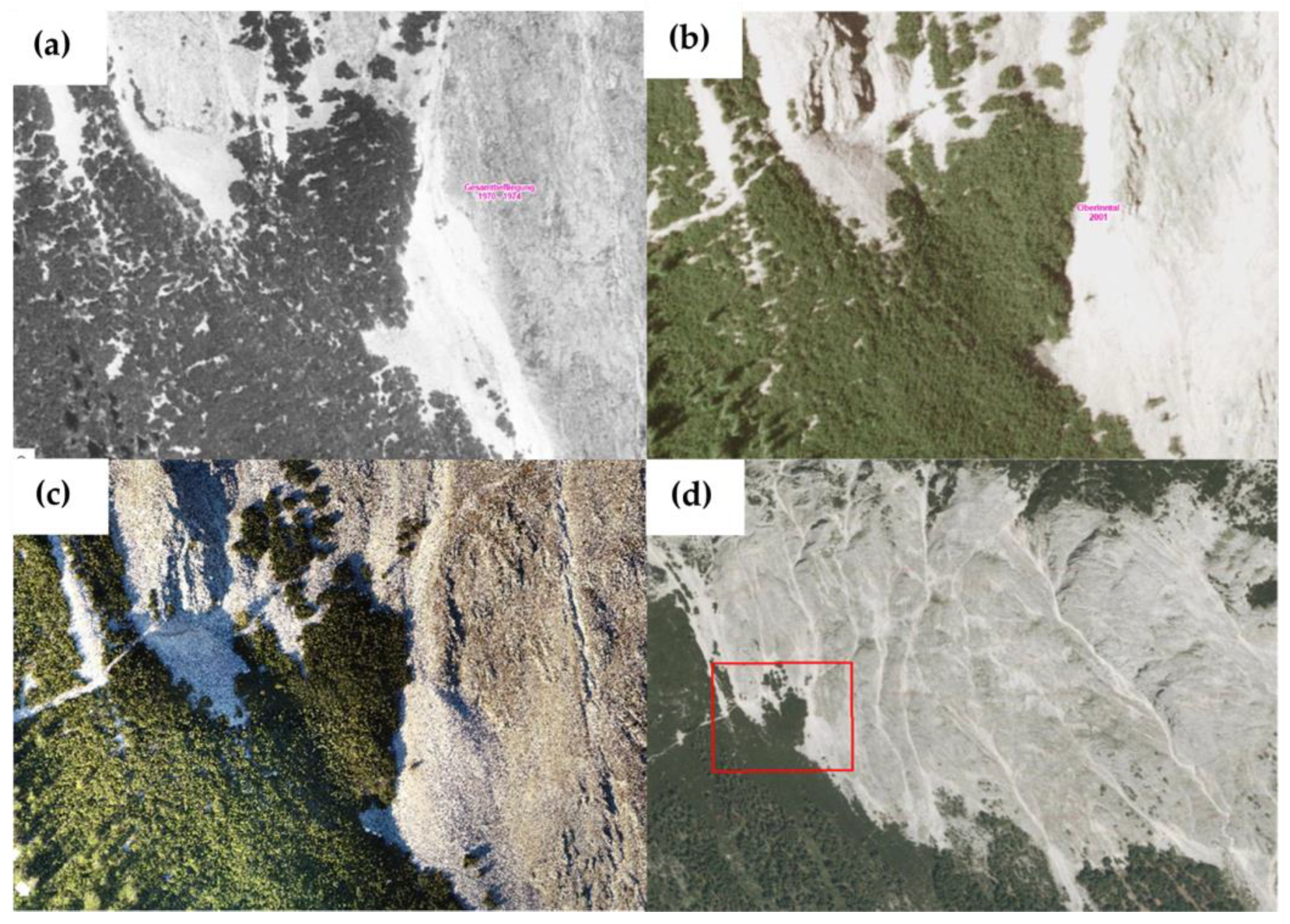 Diversity 16 00366 g008 Diversity 16 00366 g008