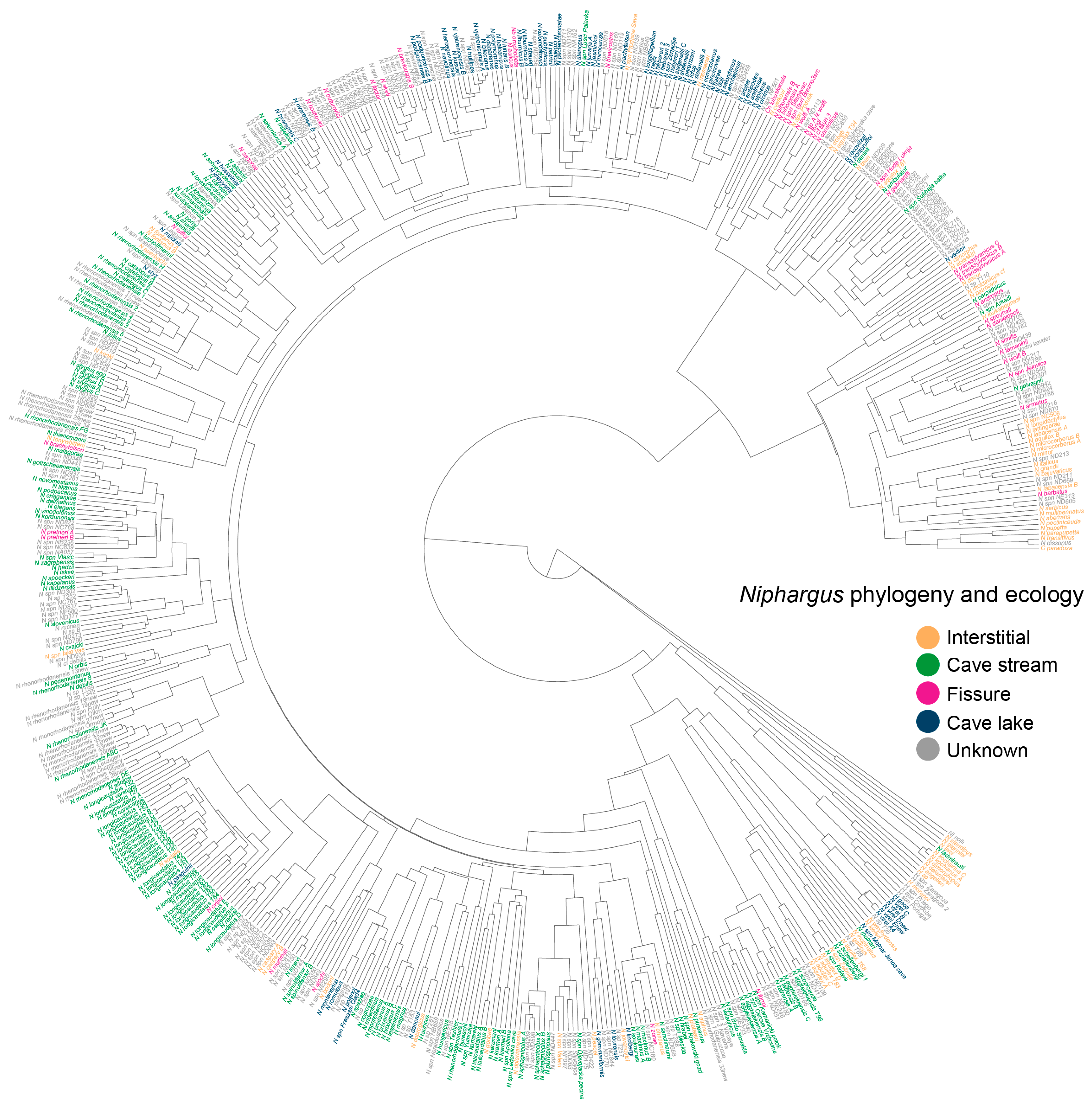 Diversity 16 00375 g002