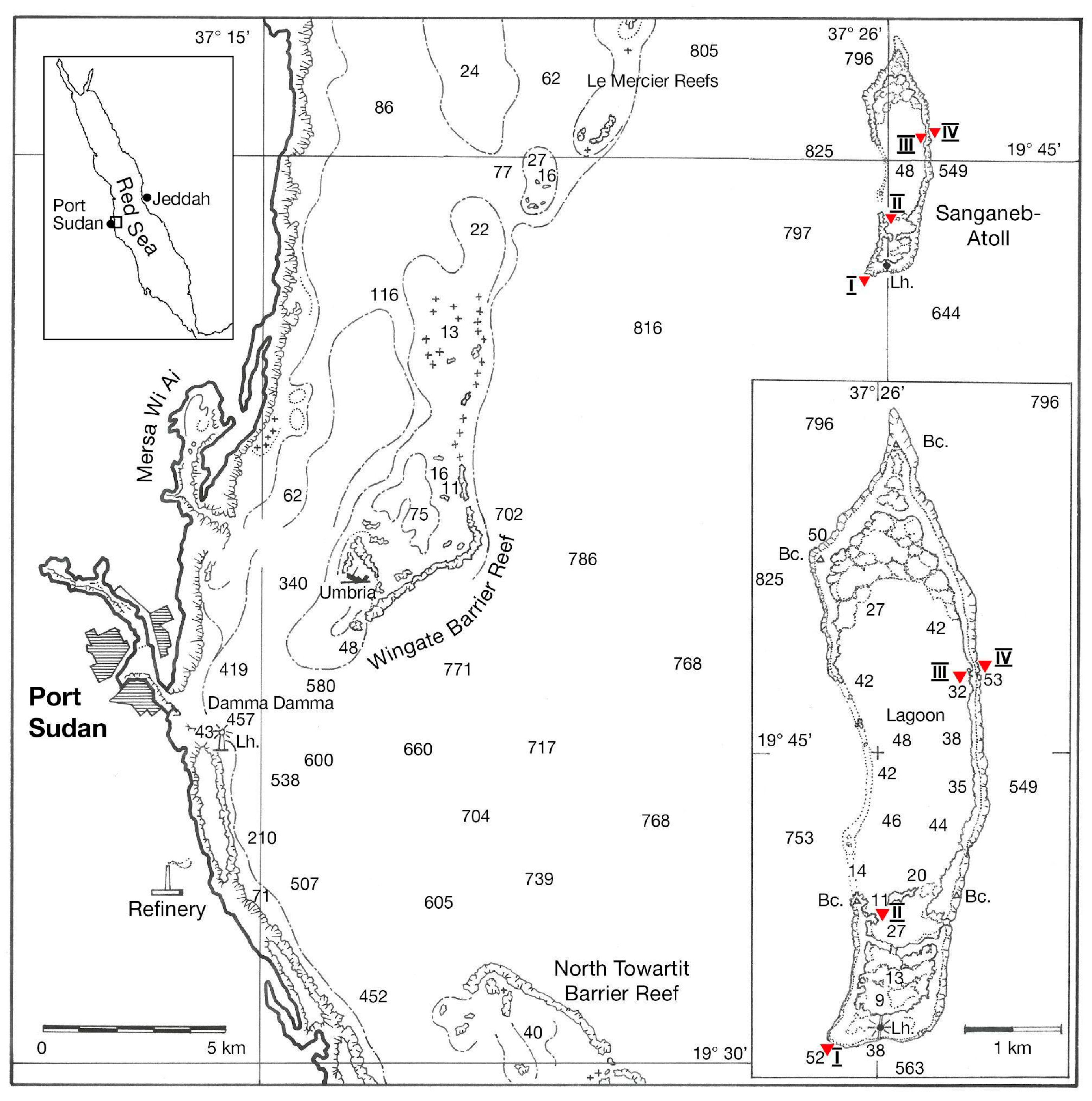 Diversity 16 00379 g001