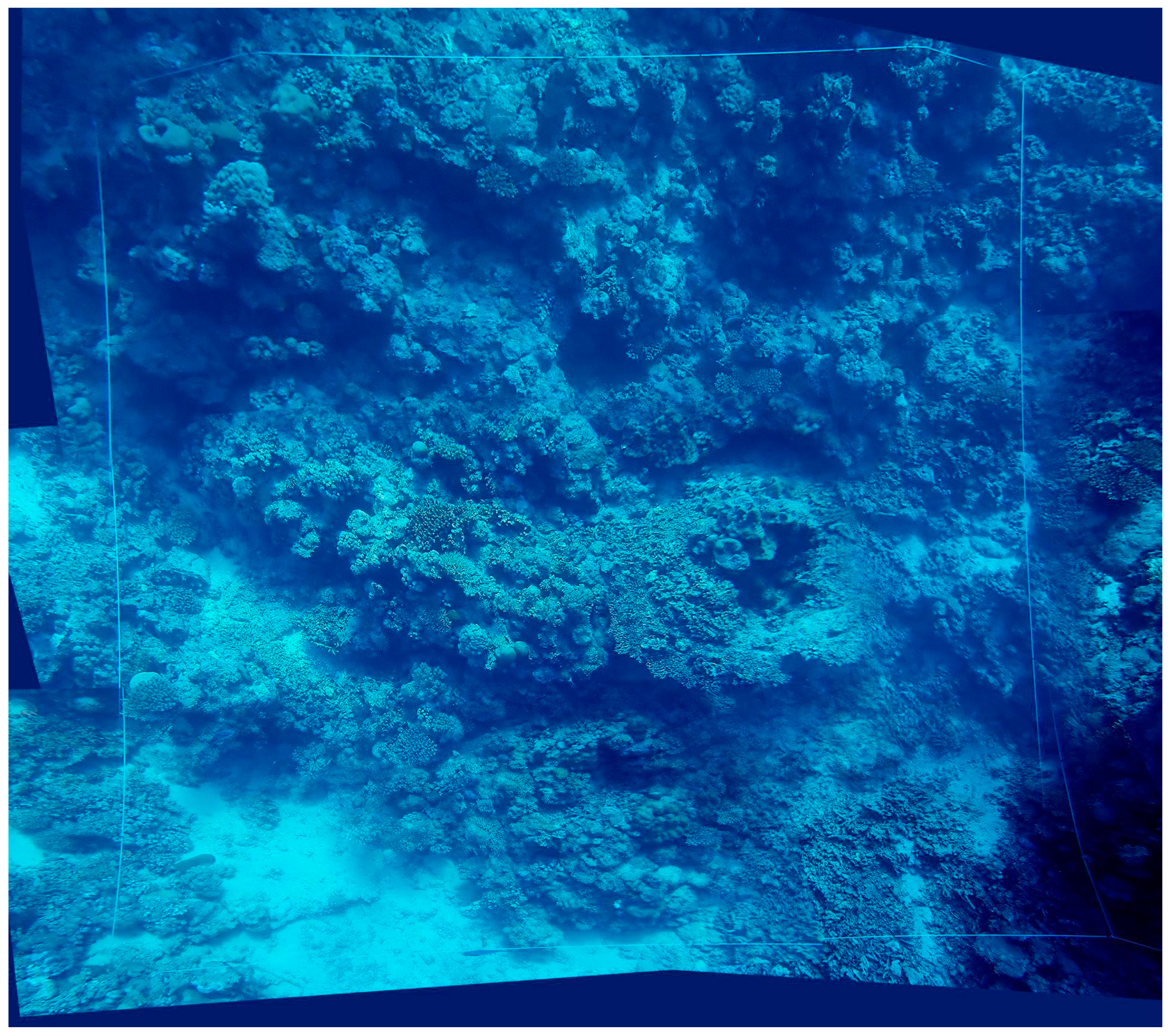 Diversity 16 00379 g004