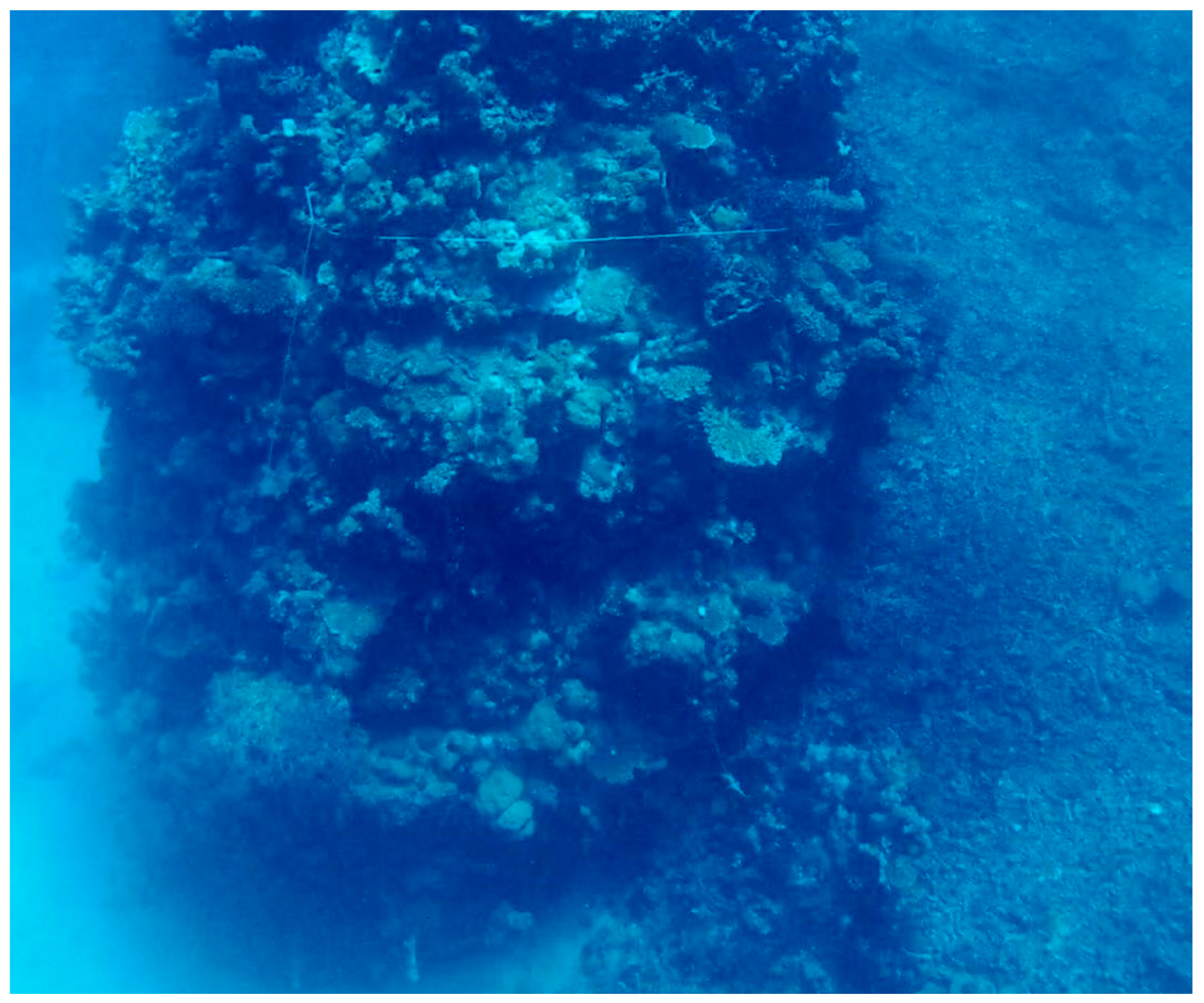 Diversity 16 00379 g006