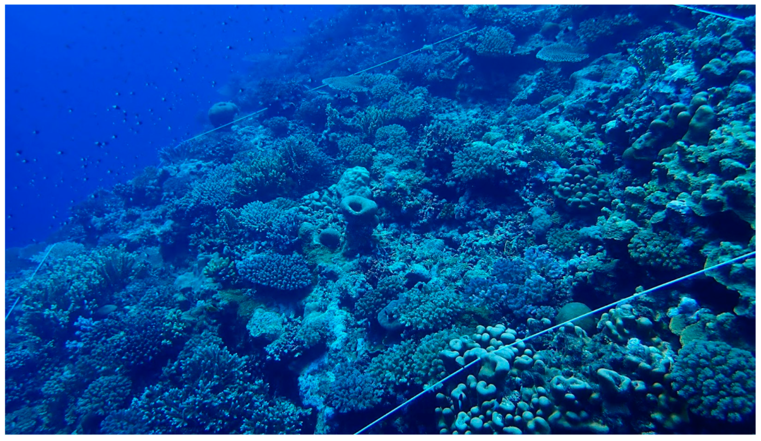 Diversity 16 00379 g007