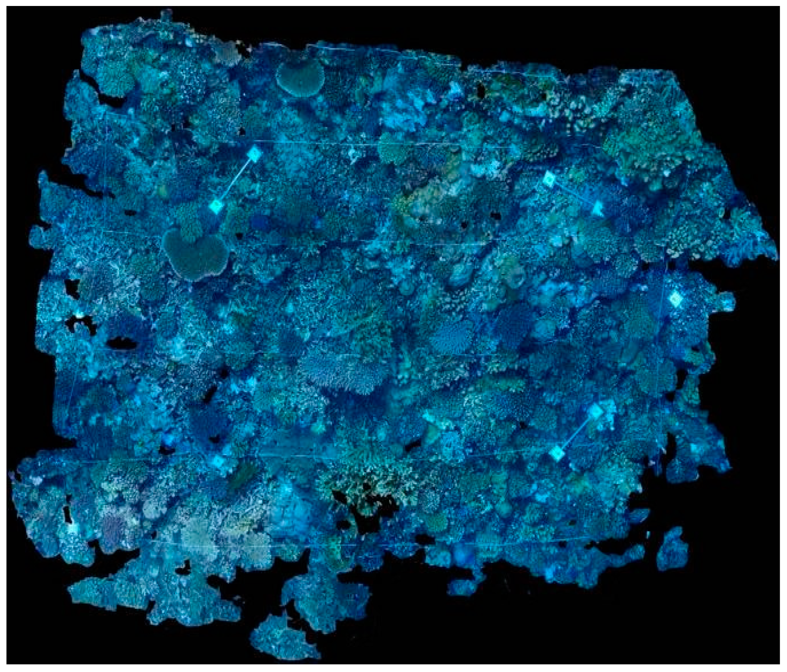 Diversity 16 00379 g008