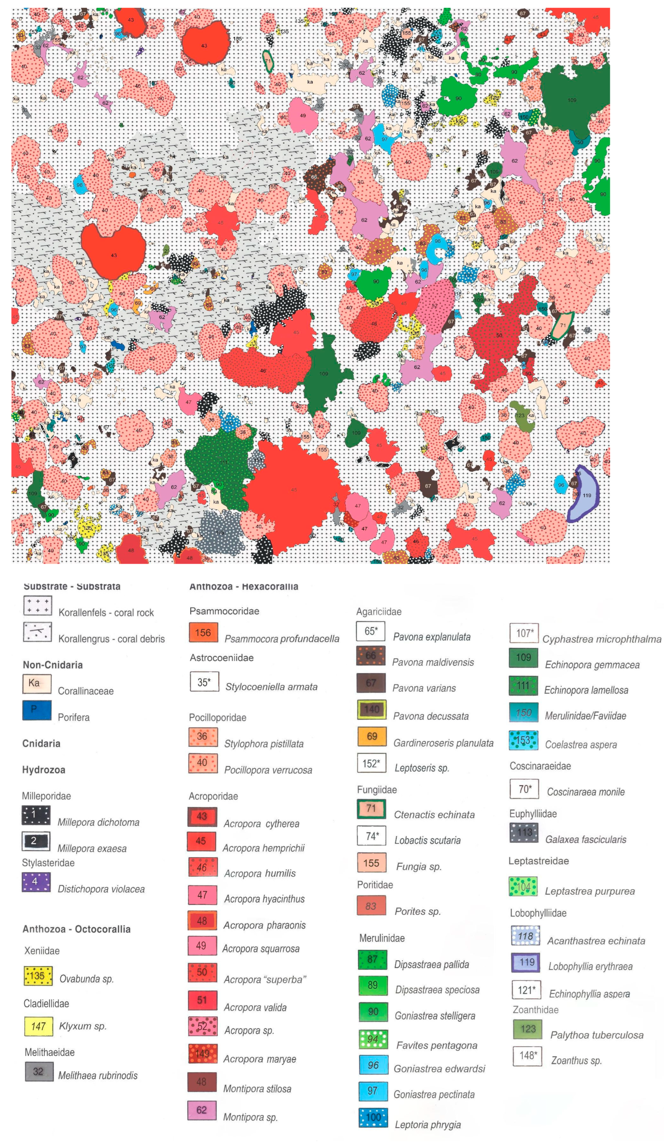 Diversity 16 00379 g009