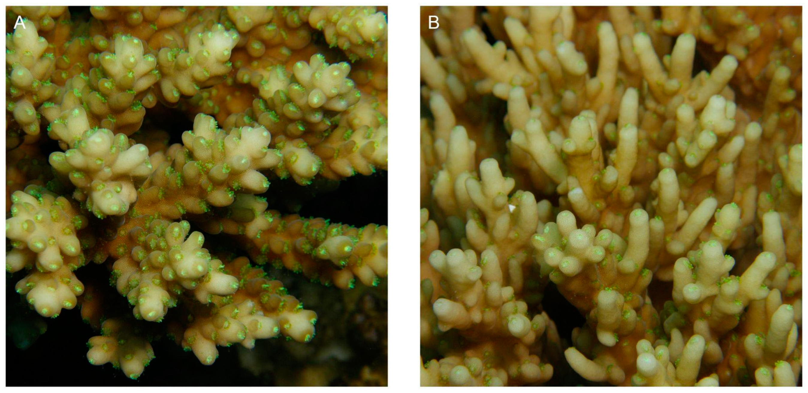 Diversity 16 00379 g019