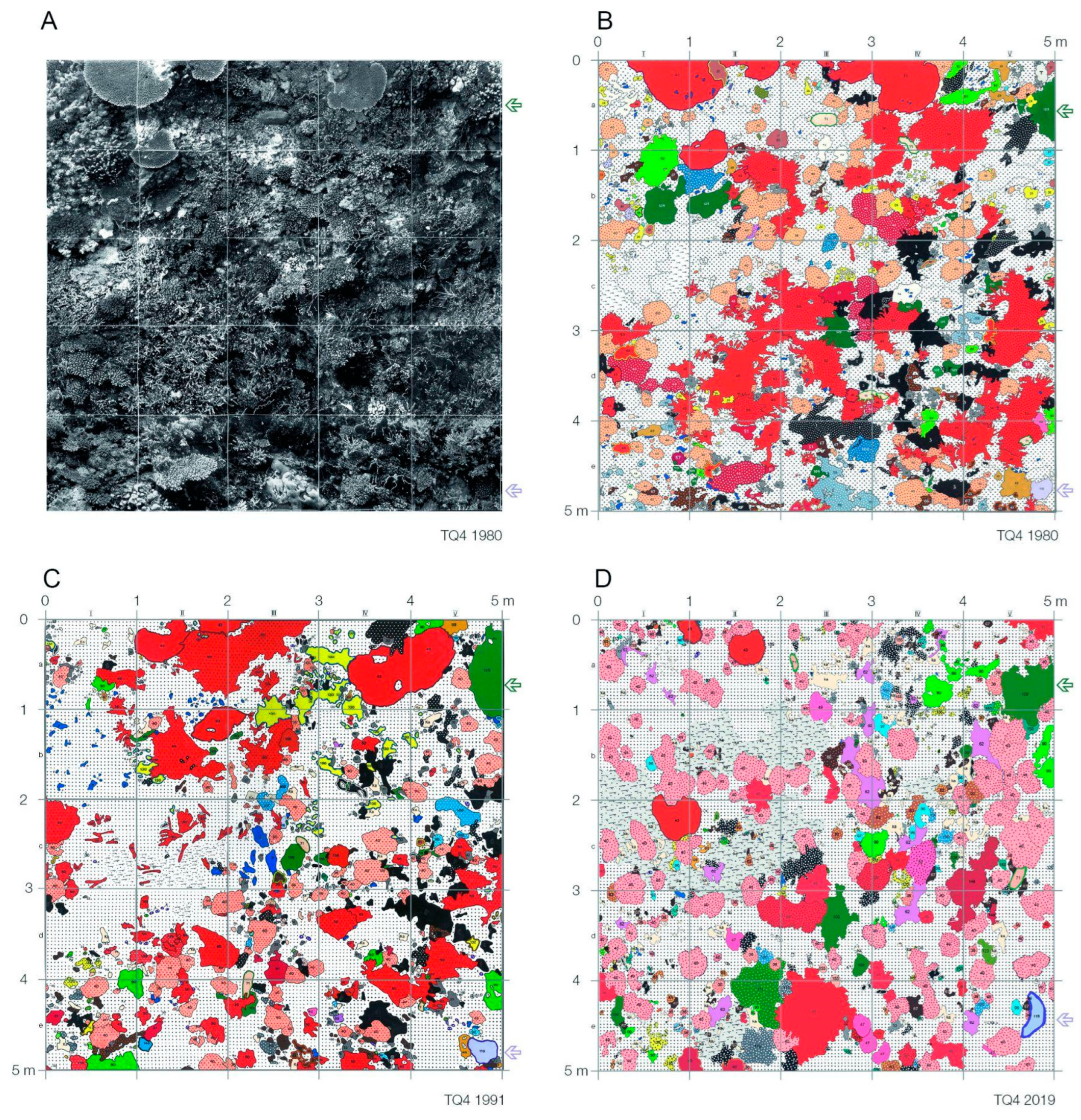 Diversity 16 00379 g020