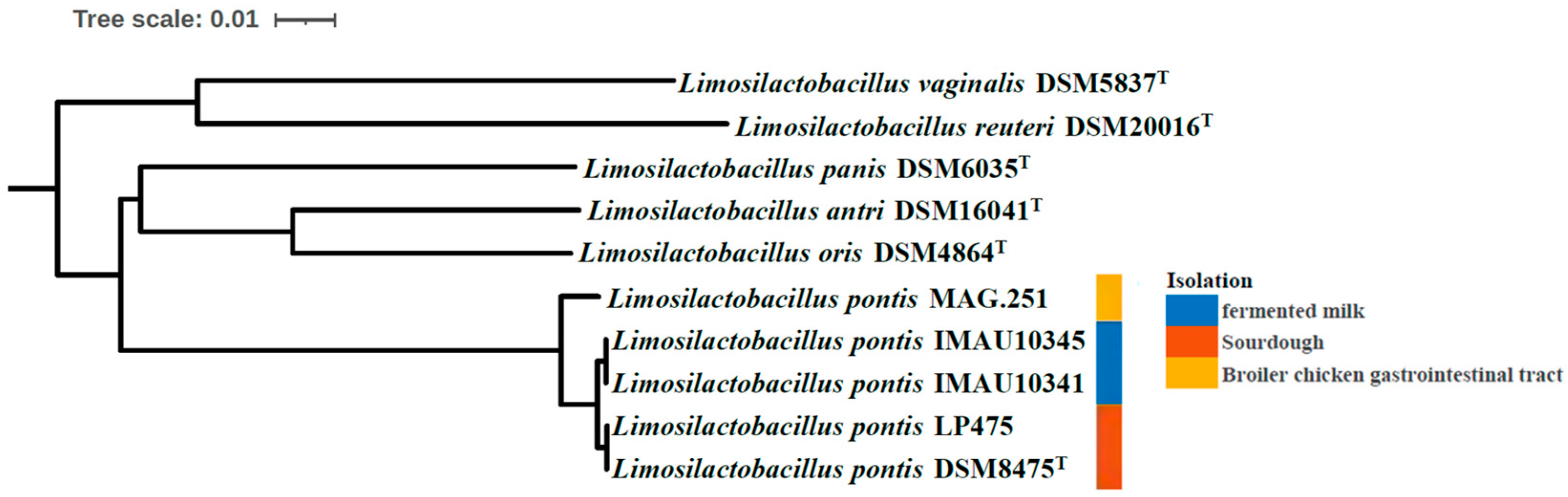 Diversity 16 00380 g003 Diversity 16 00380 g003