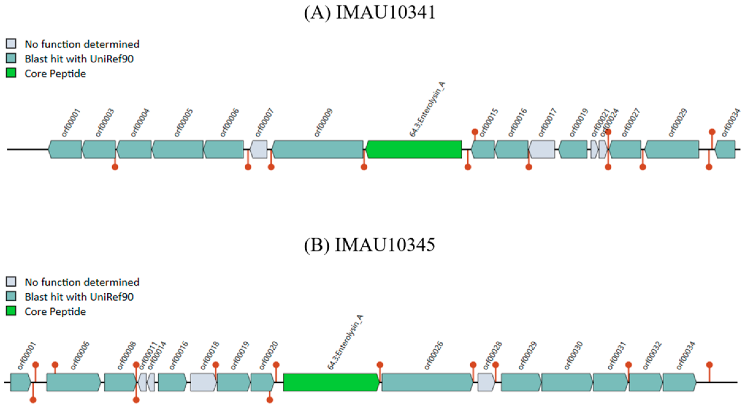 Diversity 16 00380 g006 Diversity 16 00380 g006