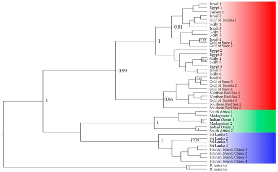 Diversity 16 00381 g004