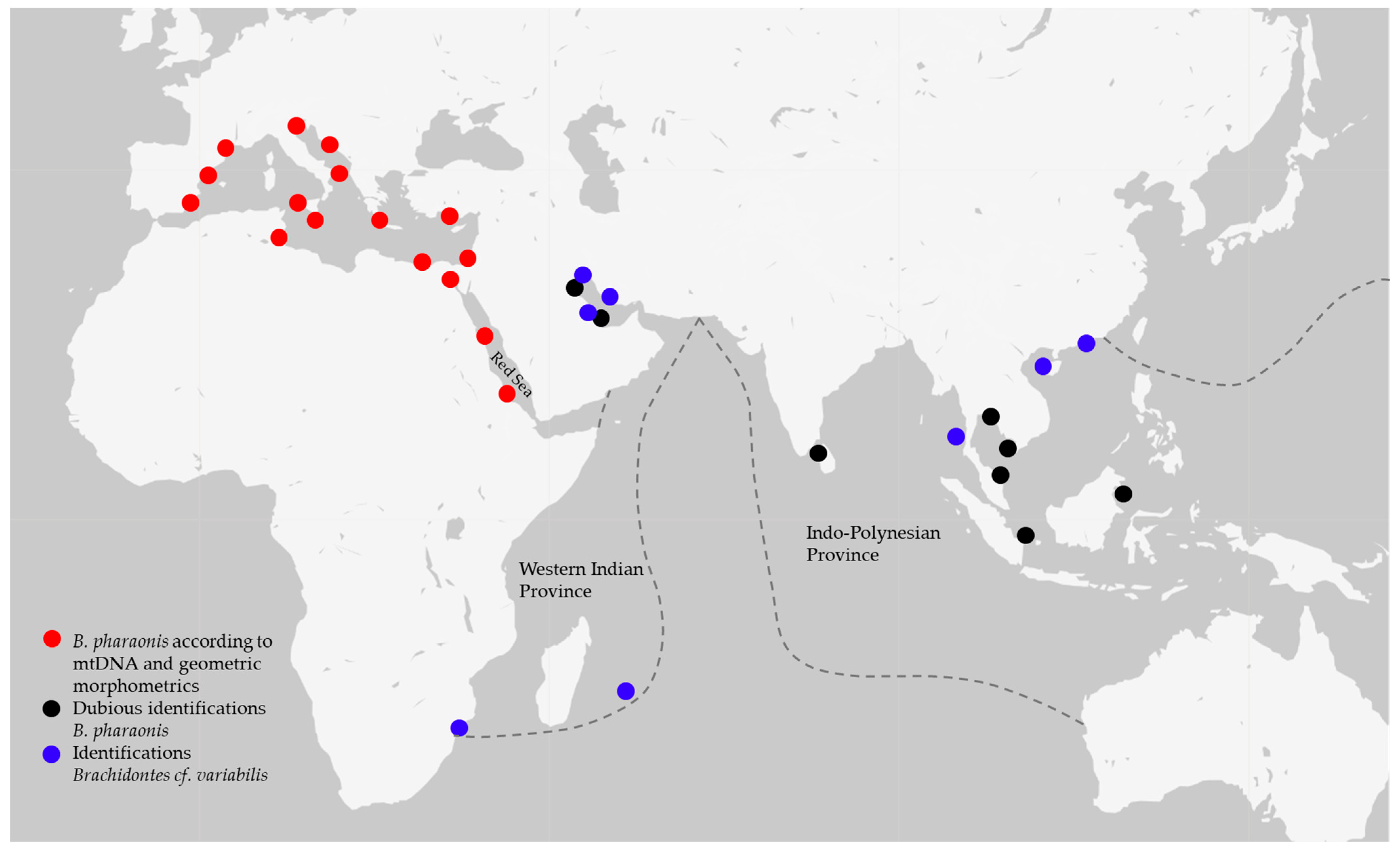 Diversity 16 00381 g006 Diversity 16 00381 g006