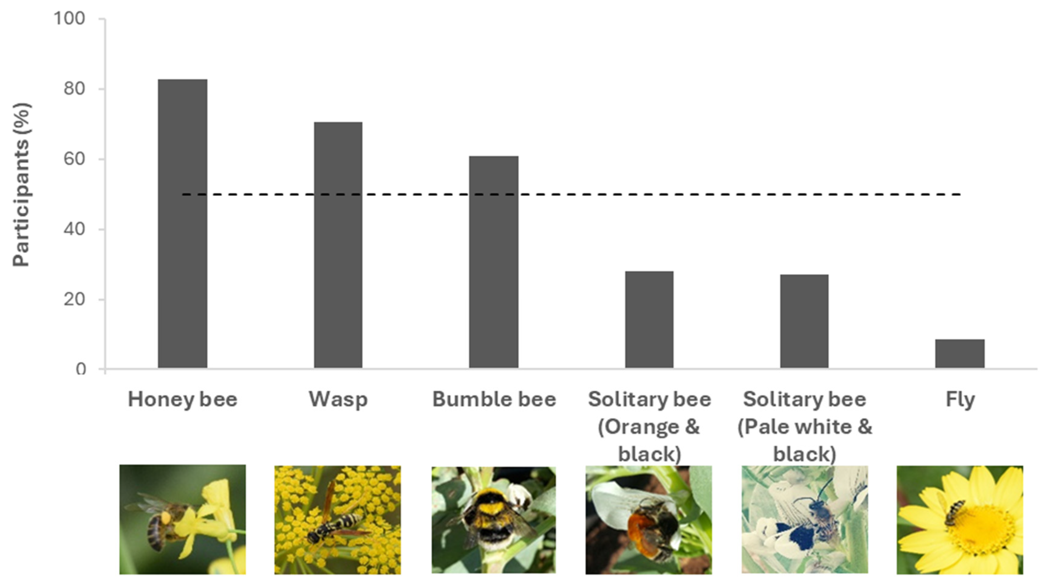 Diversity 16 00383 g002
