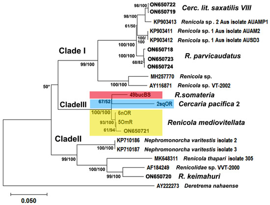 Diversity 16 00402 g010