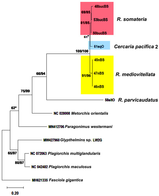 Diversity 16 00402 g011