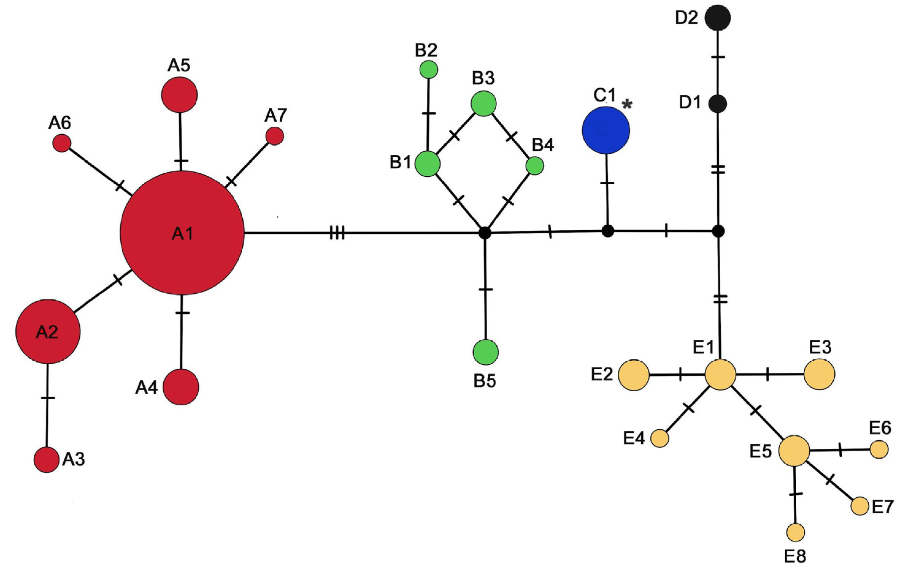 Diversity 16 00406 g002