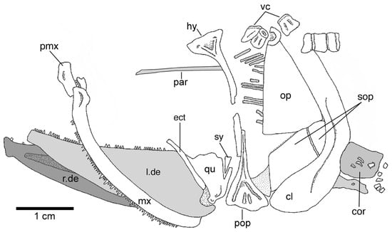 Diversity 16 00414 g007