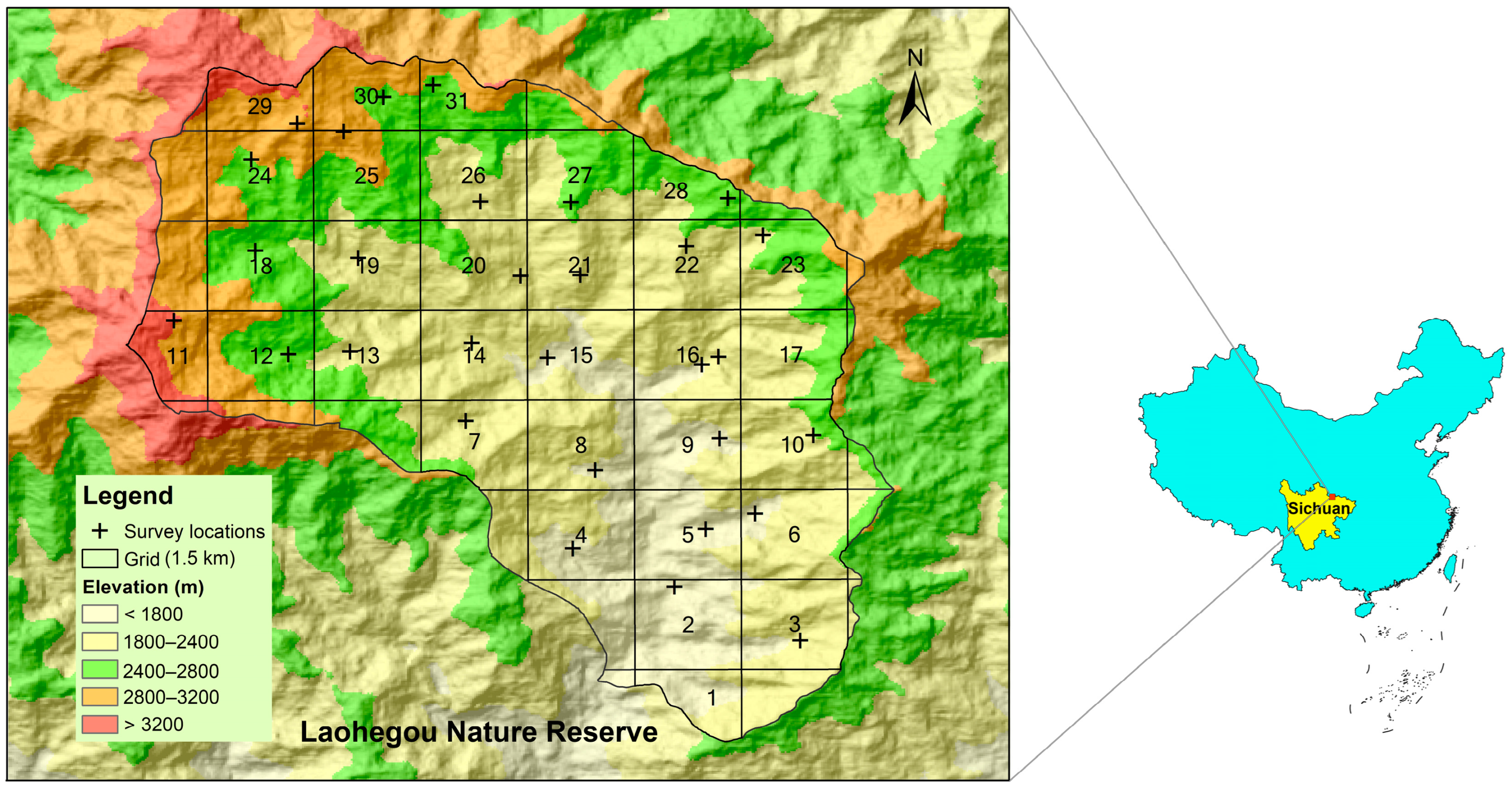 Diversity 16 00421 g001