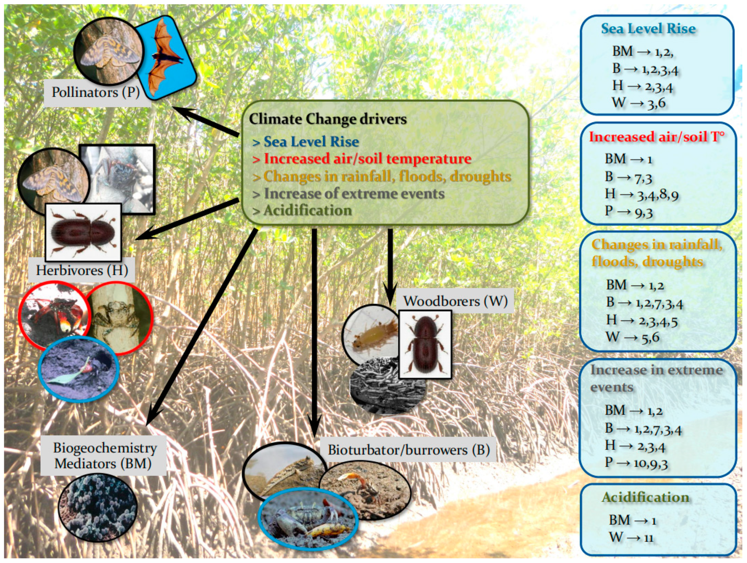 Diversity 16 00423 g003