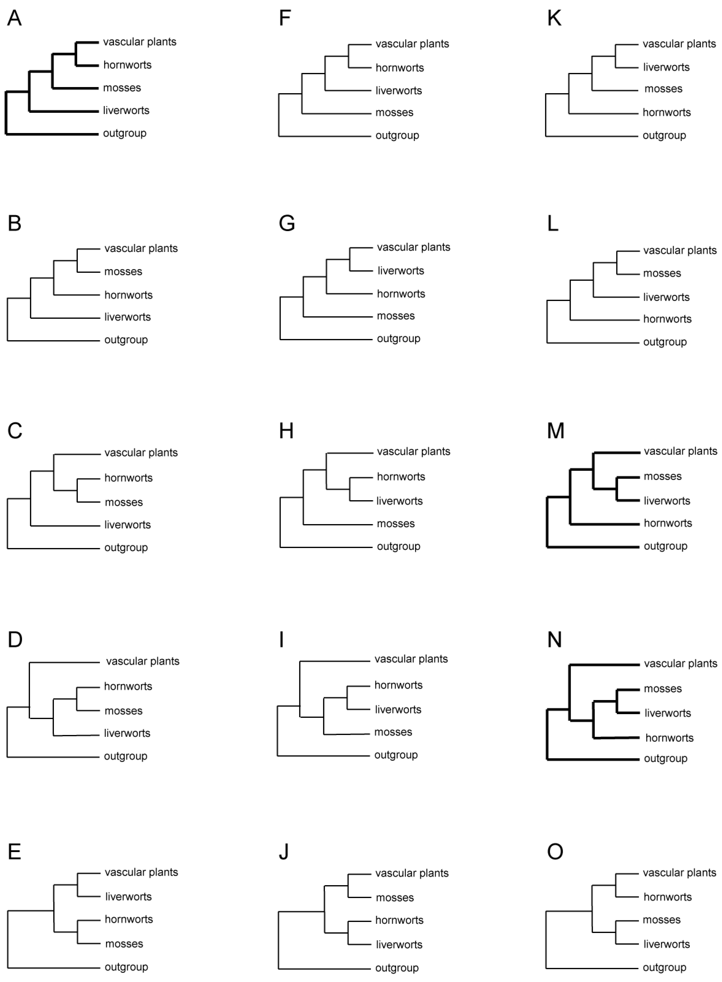 Diversity 16 00426 g002