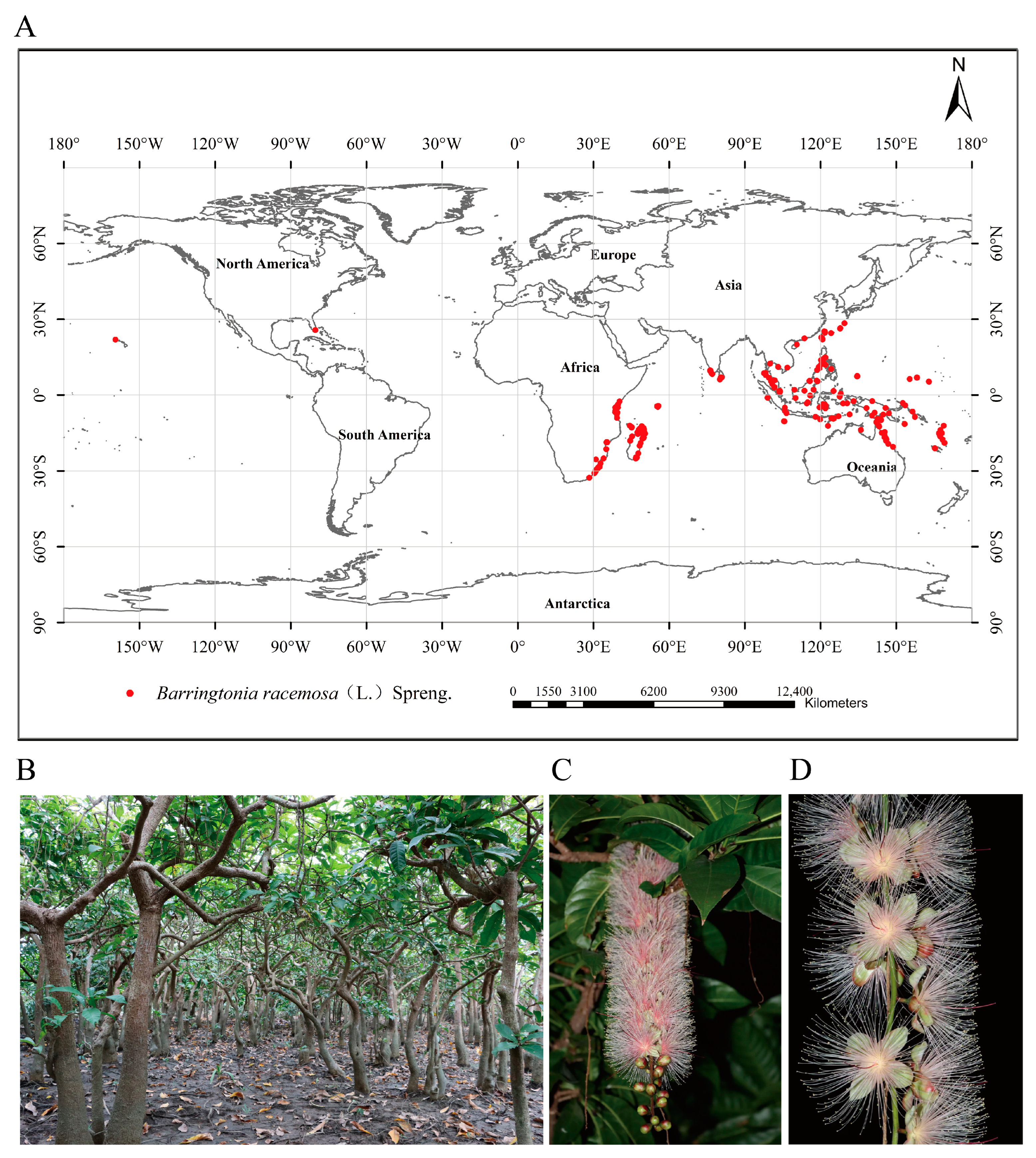 Diversity 16 00429 g001