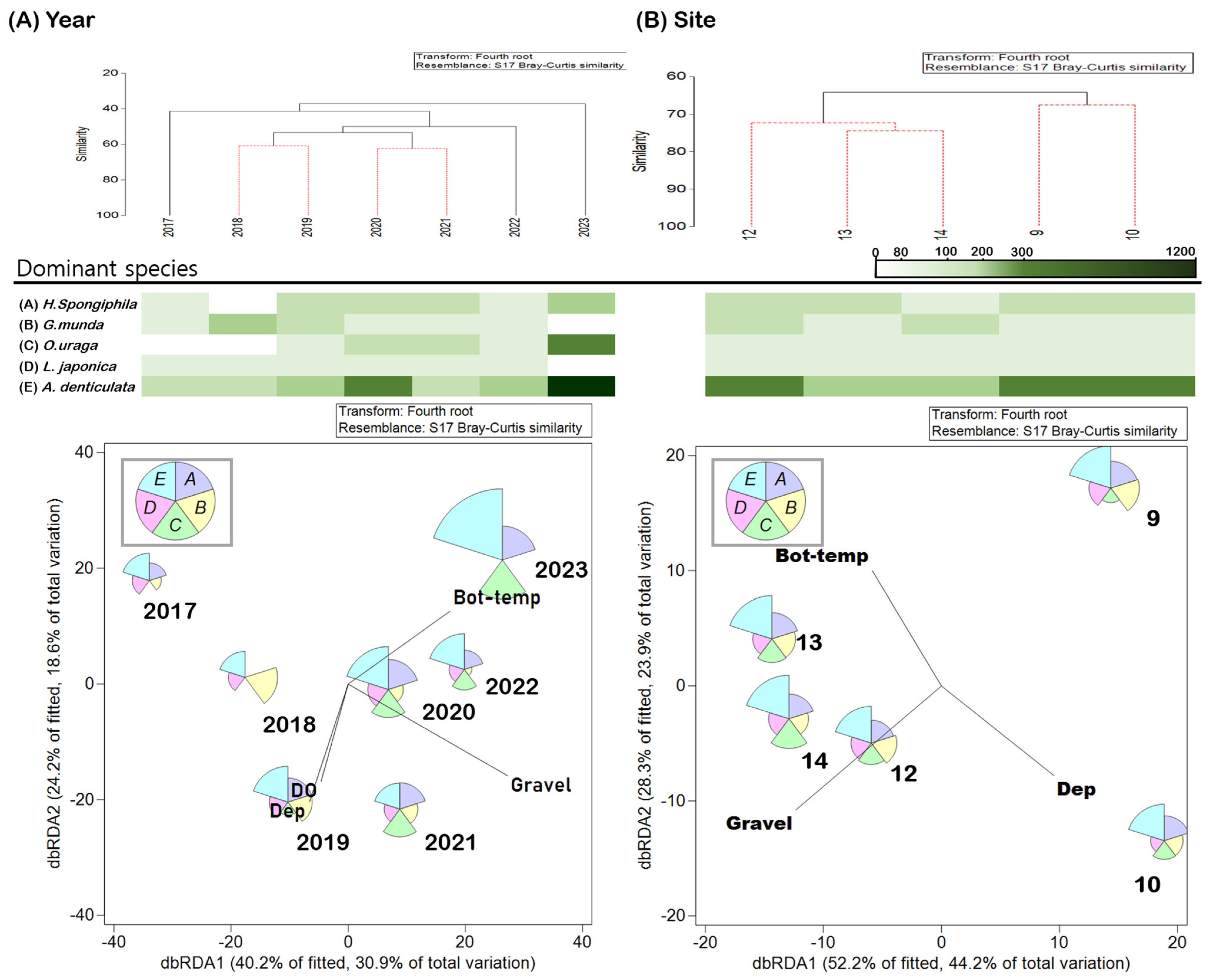 Diversity 16 00432 g003 Diversity 16 00432 g003