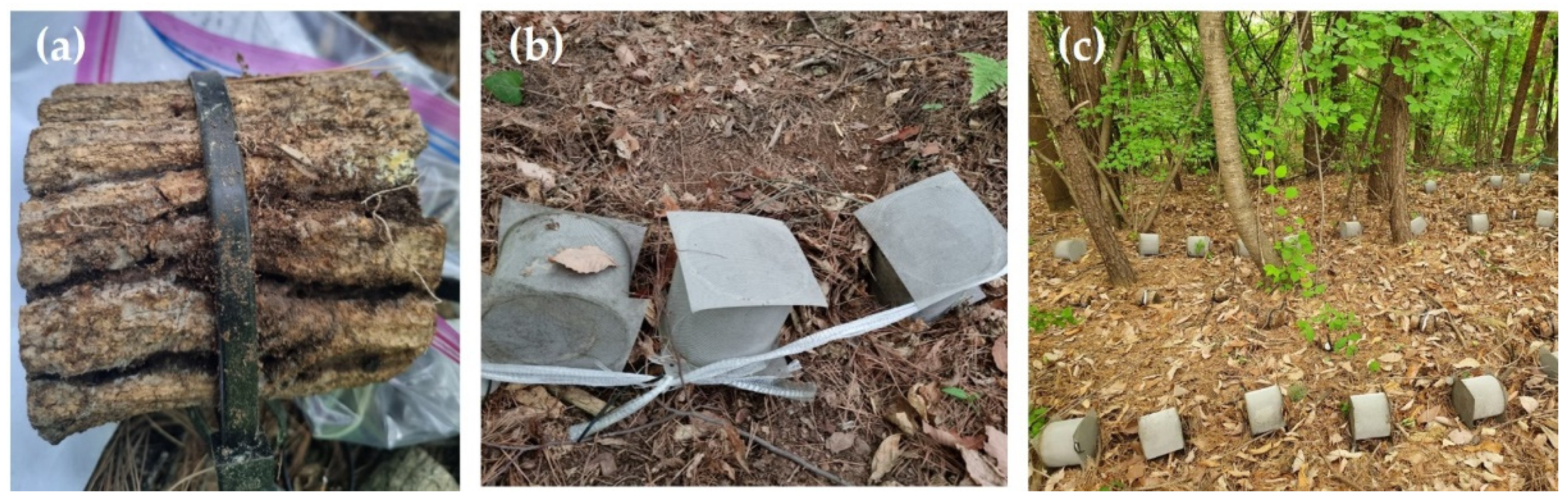 Diversity 16 00452 g002