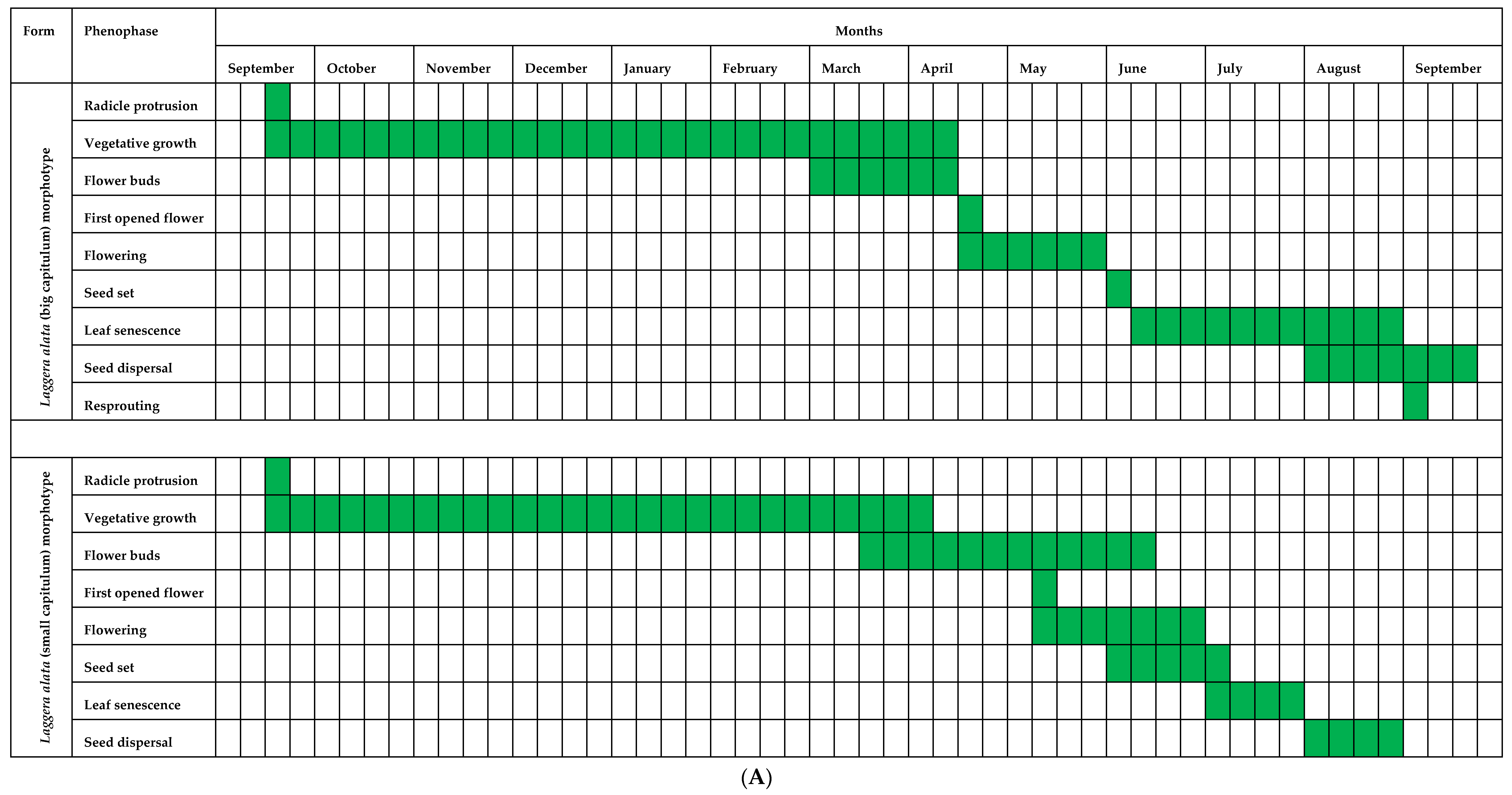 Diversity 16 00466 g001a