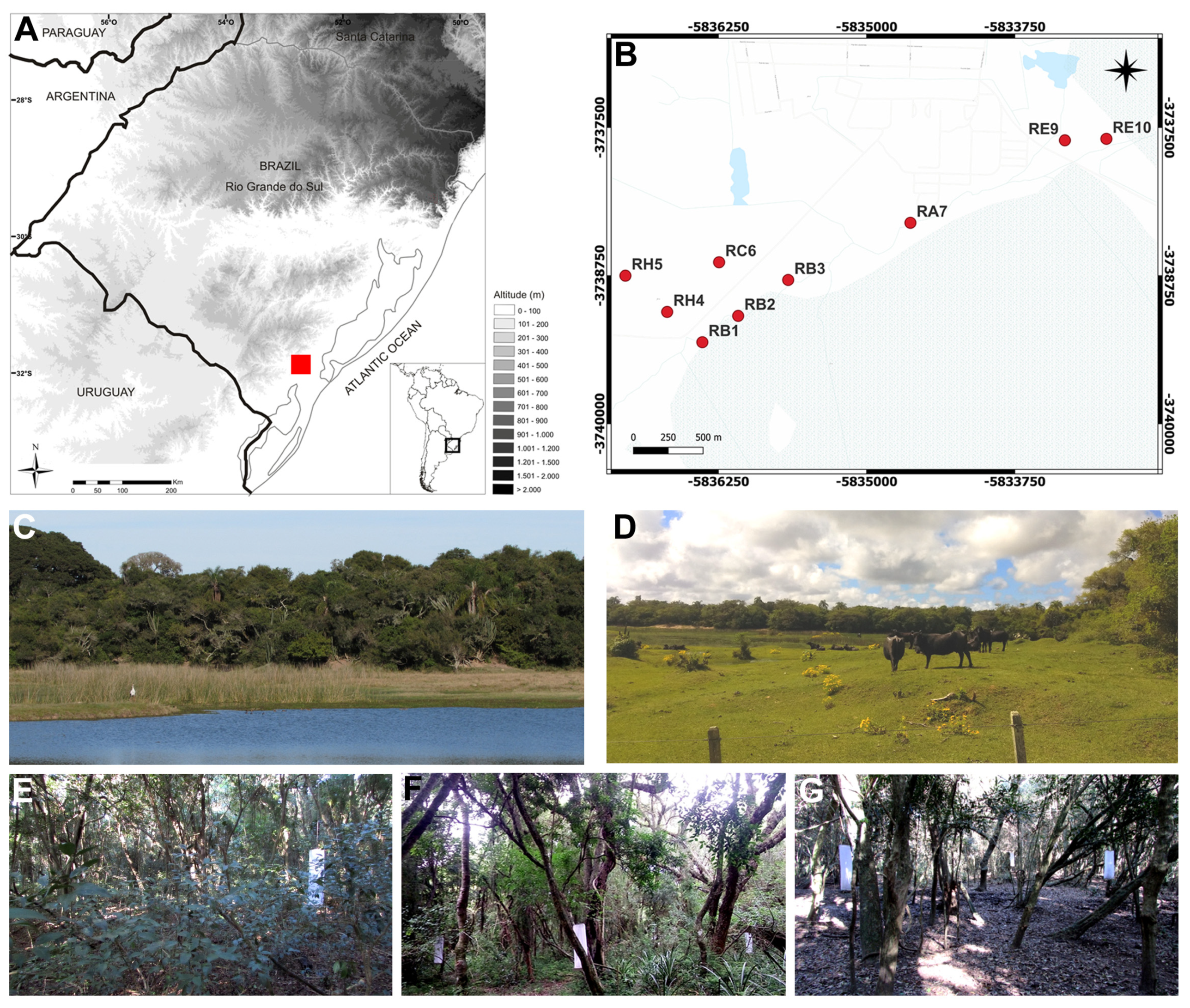 Diversity 16 00467 g001