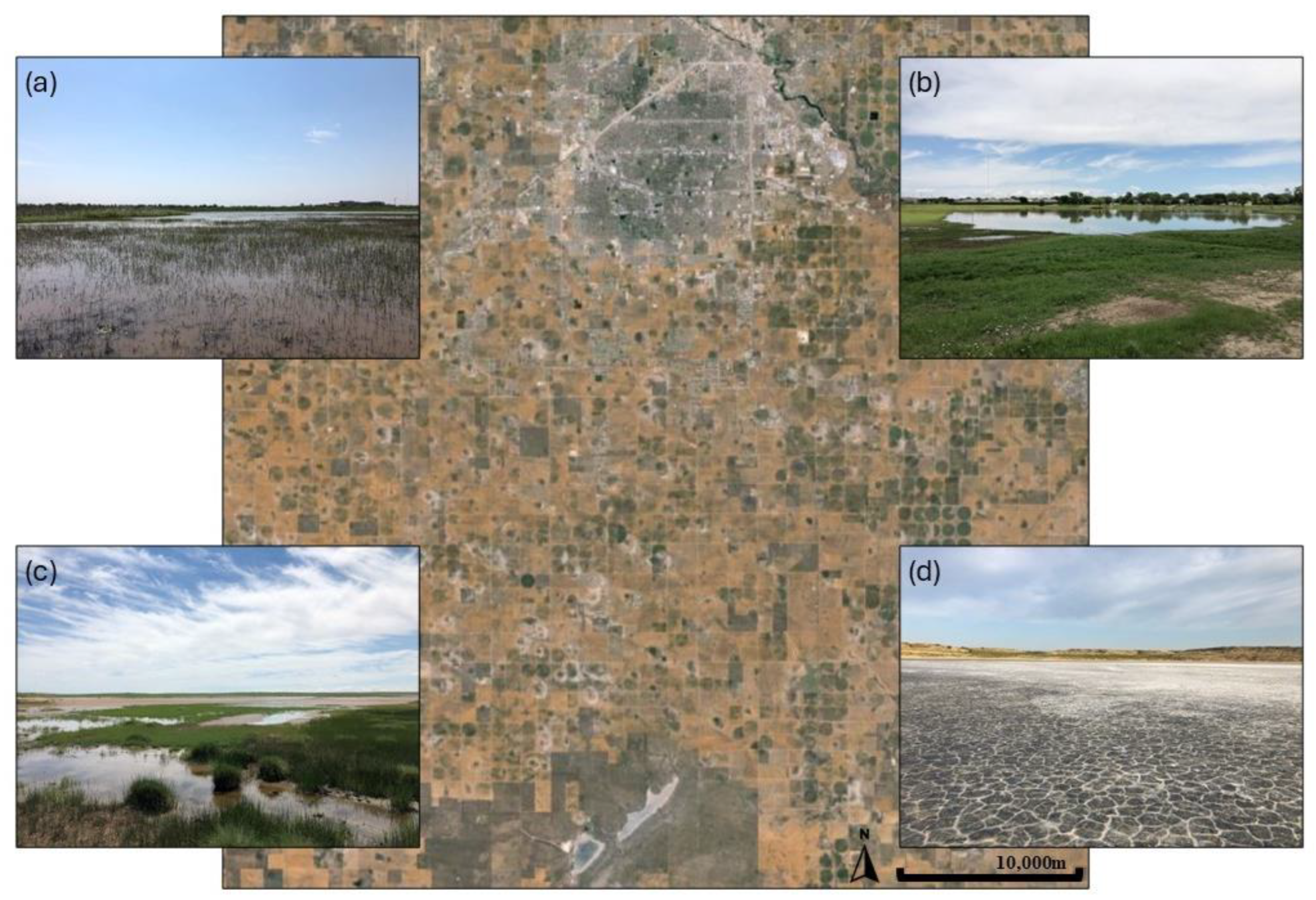 Diversity 16 00468 g001