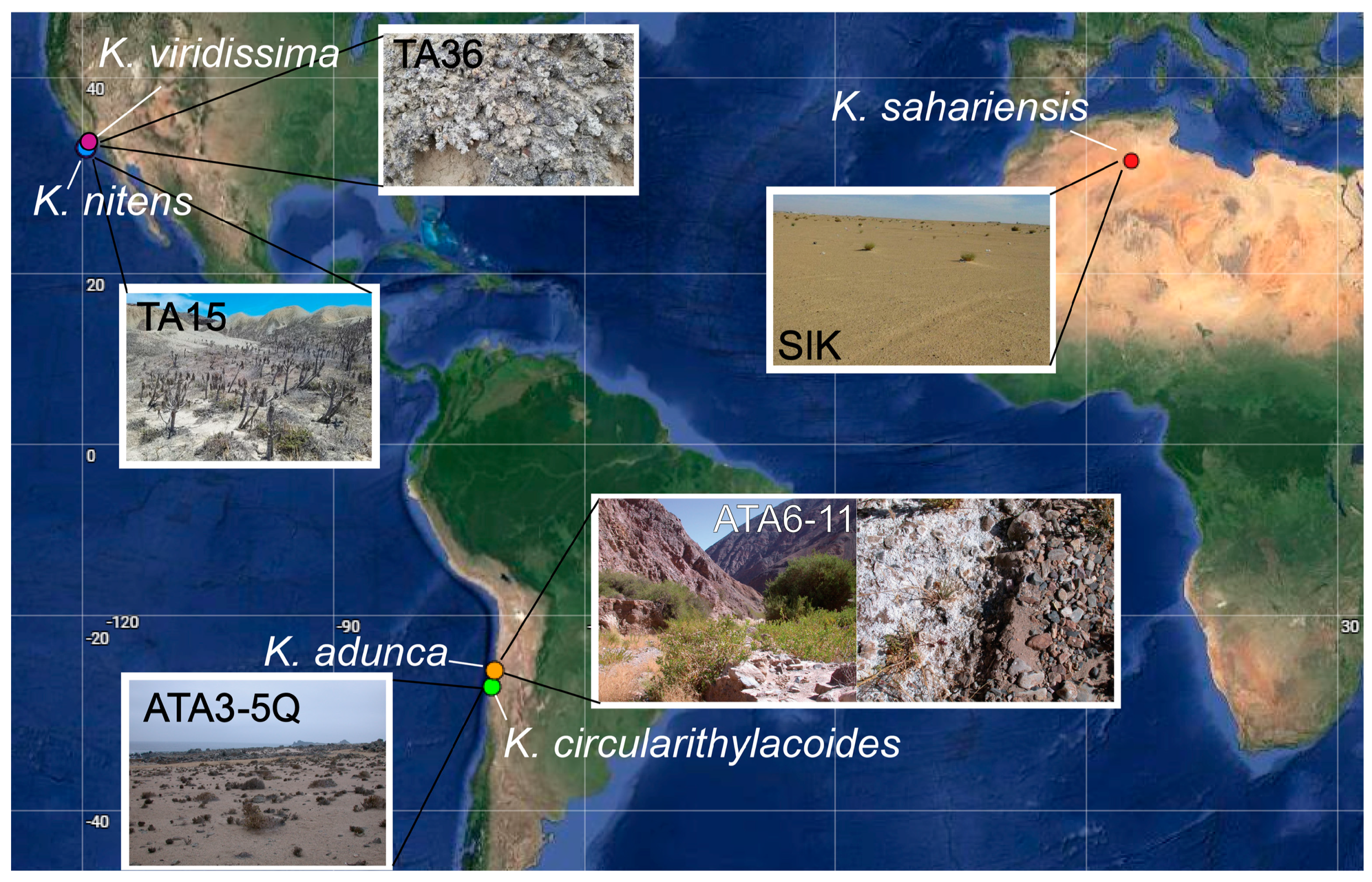 Diversity 16 00474 g001 Diversity 16 00474 g001