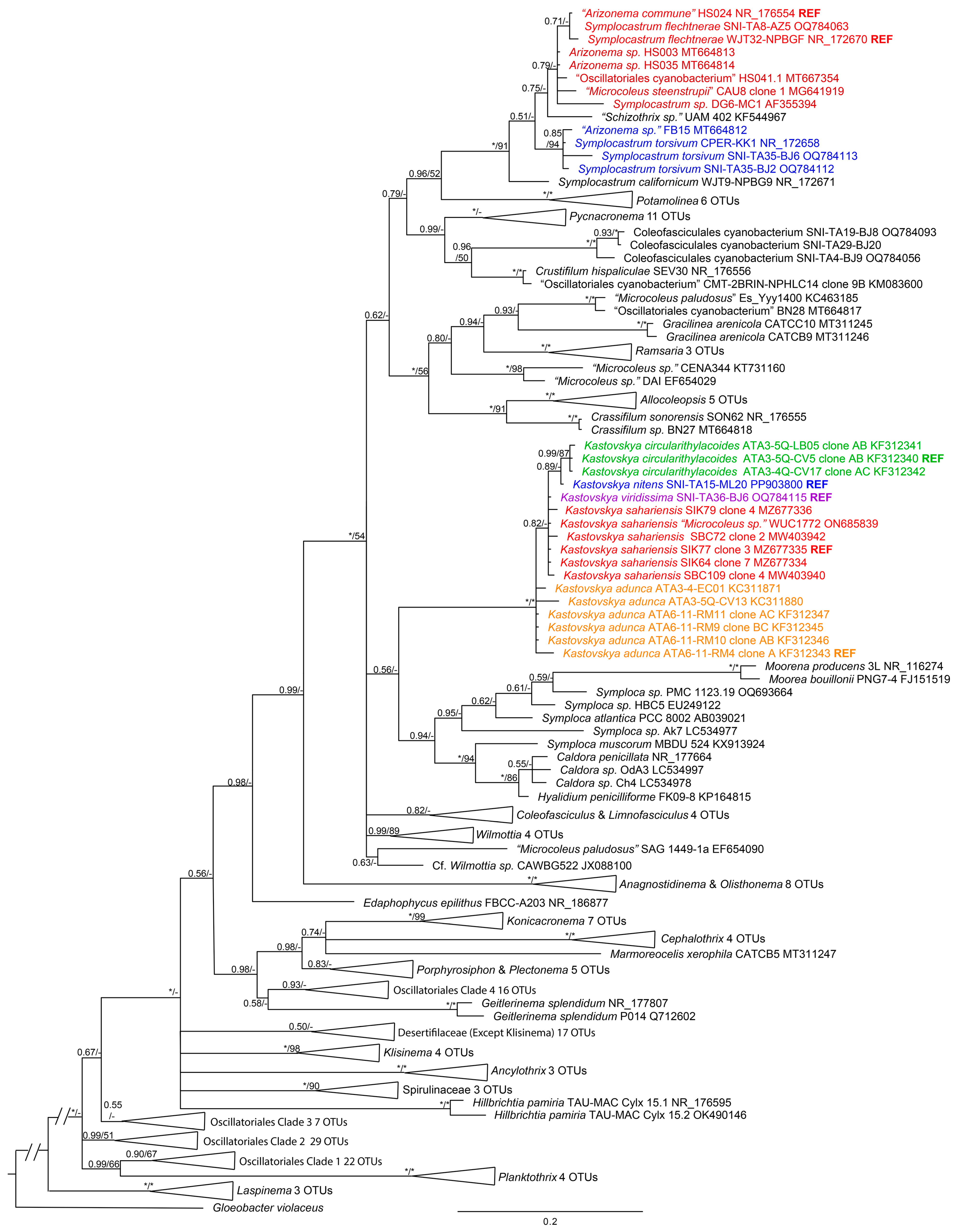 Diversity 16 00474 g004 Diversity 16 00474 g004