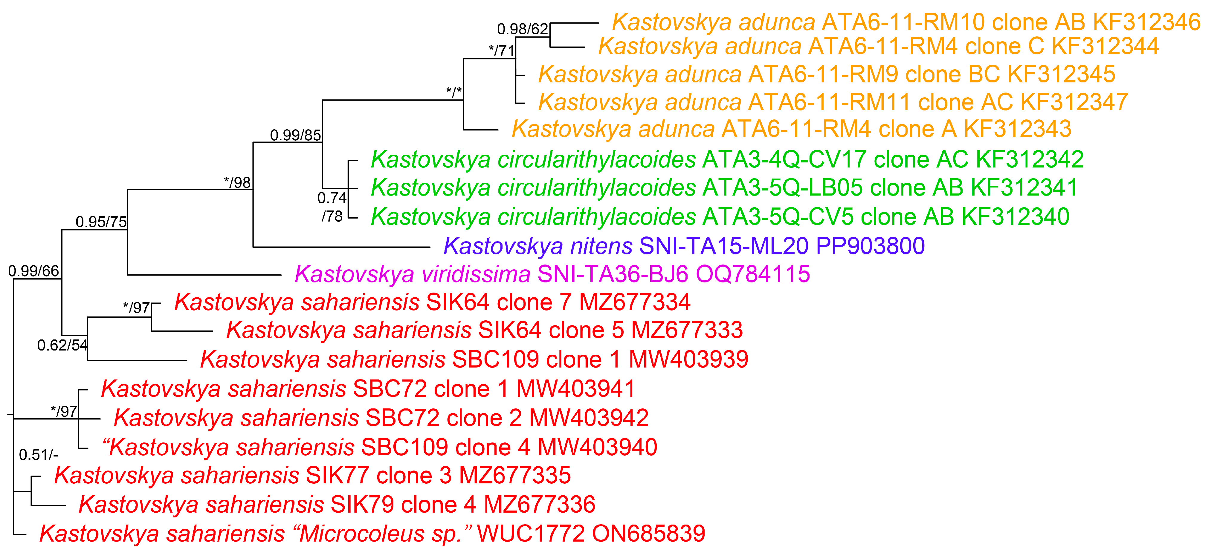 Diversity 16 00474 g005 Diversity 16 00474 g005