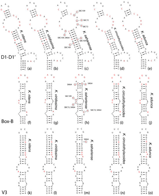 Diversity 16 00474 g006