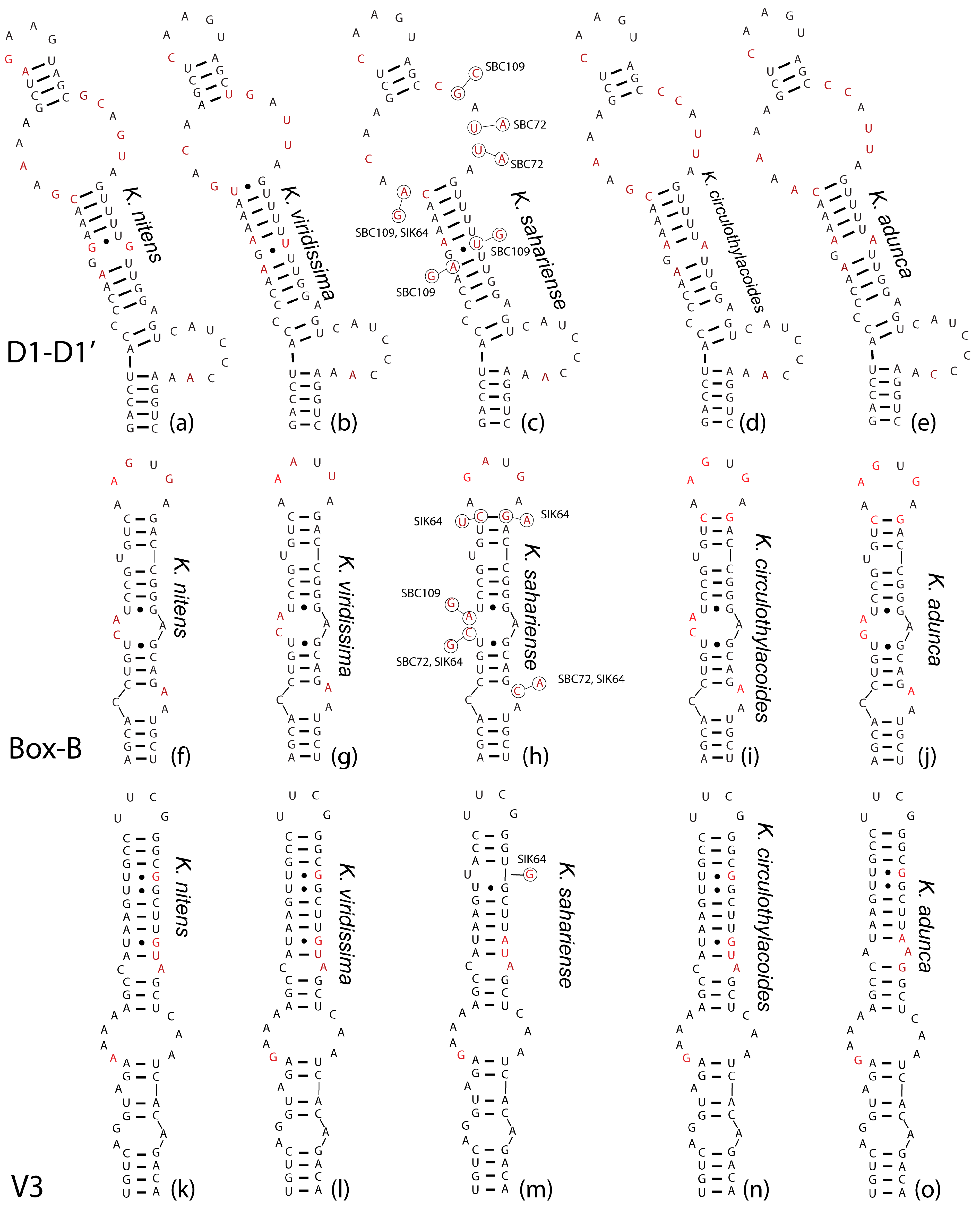 Diversity 16 00474 g006 Diversity 16 00474 g006