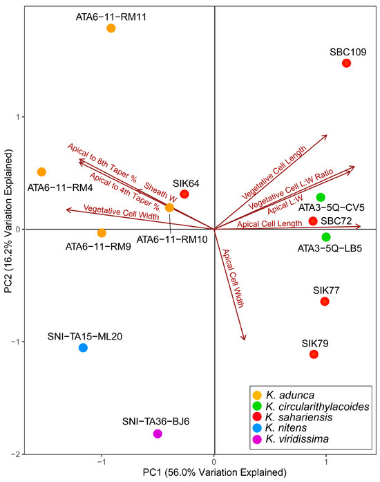 Diversity 16 00474 g007