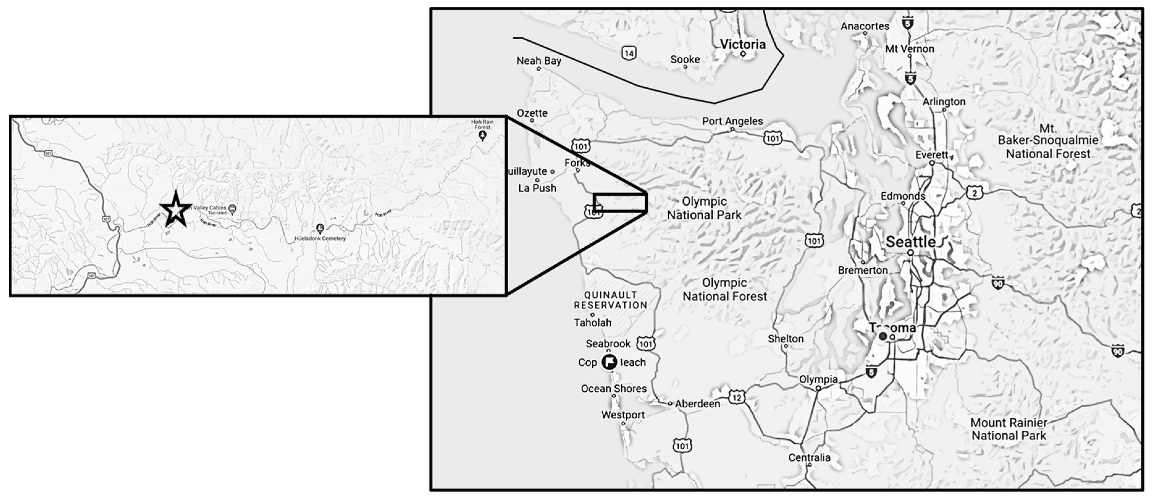 Diversity 16 00484 g001