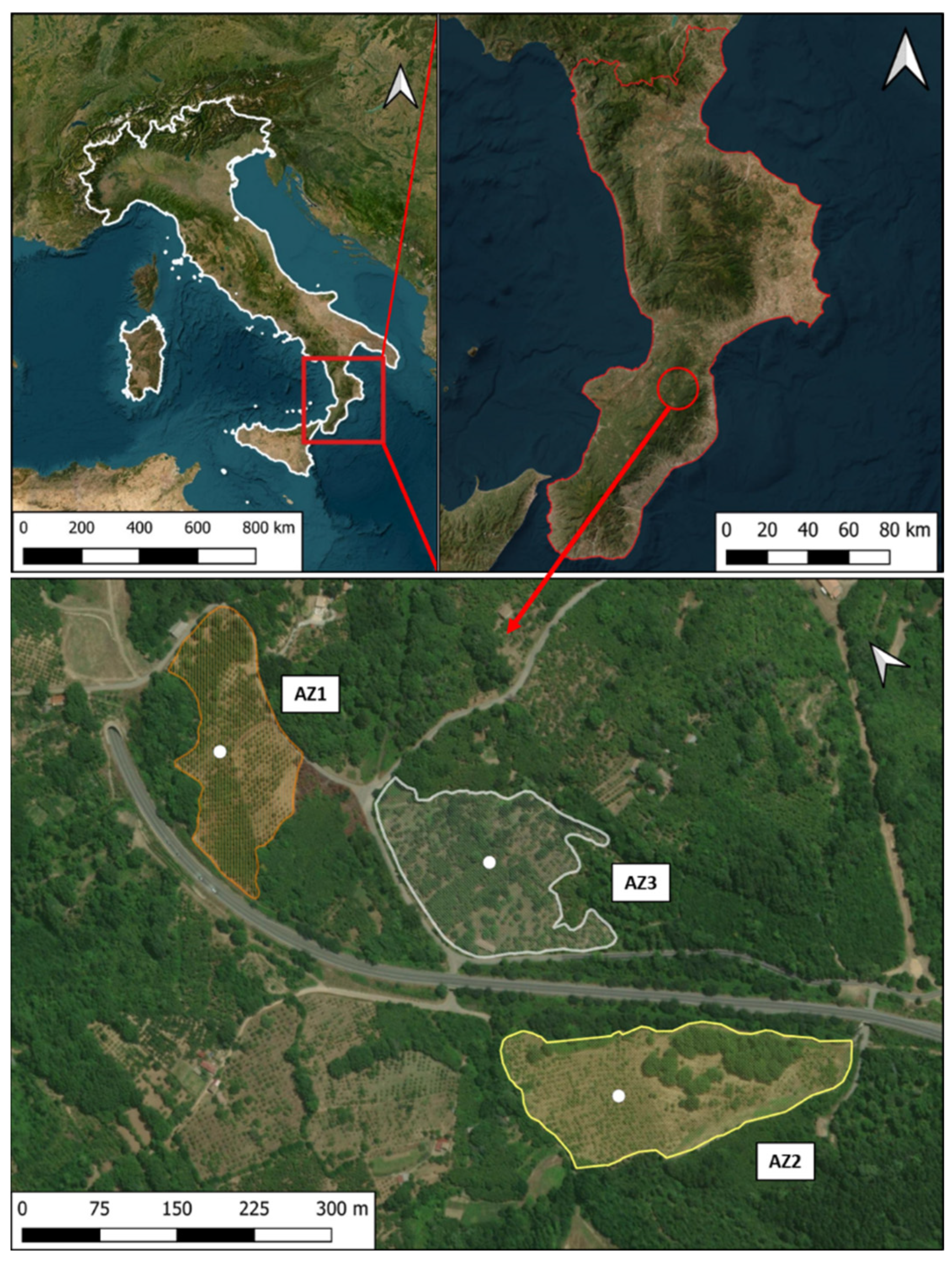 Diversity 16 00491 g001