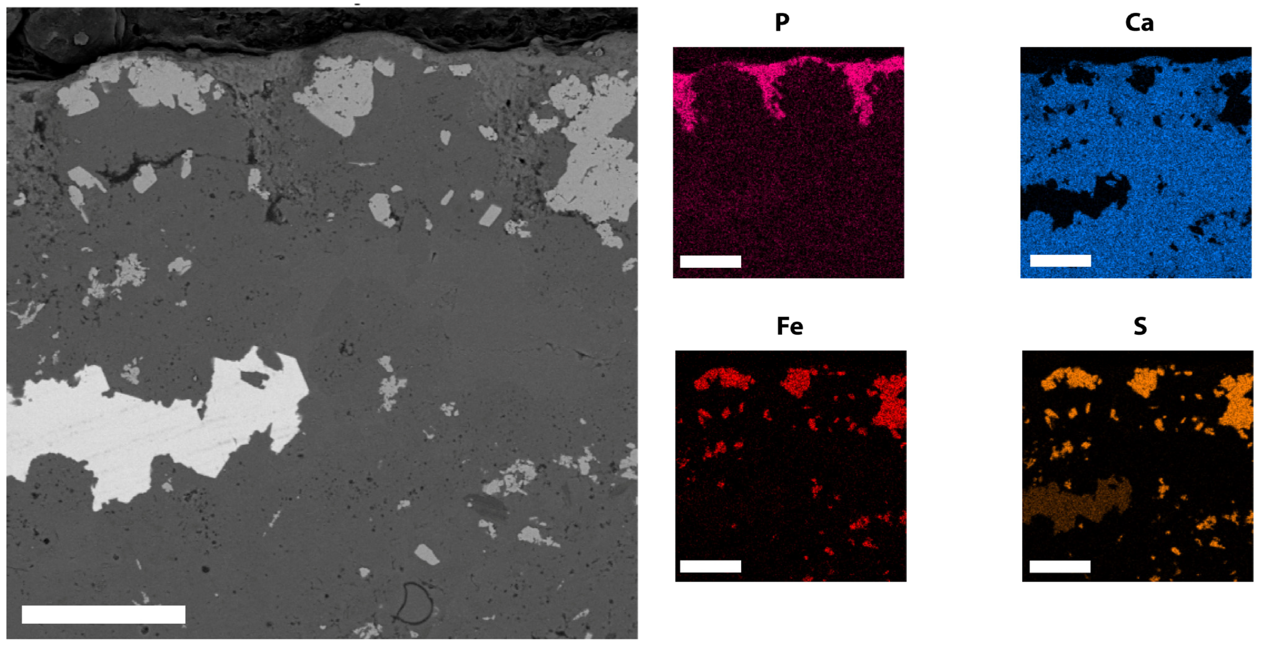 Diversity 16 00492 g005
