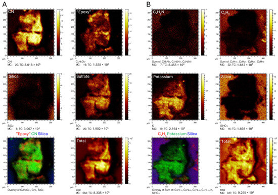 Diversity 16 00492 g0a2
