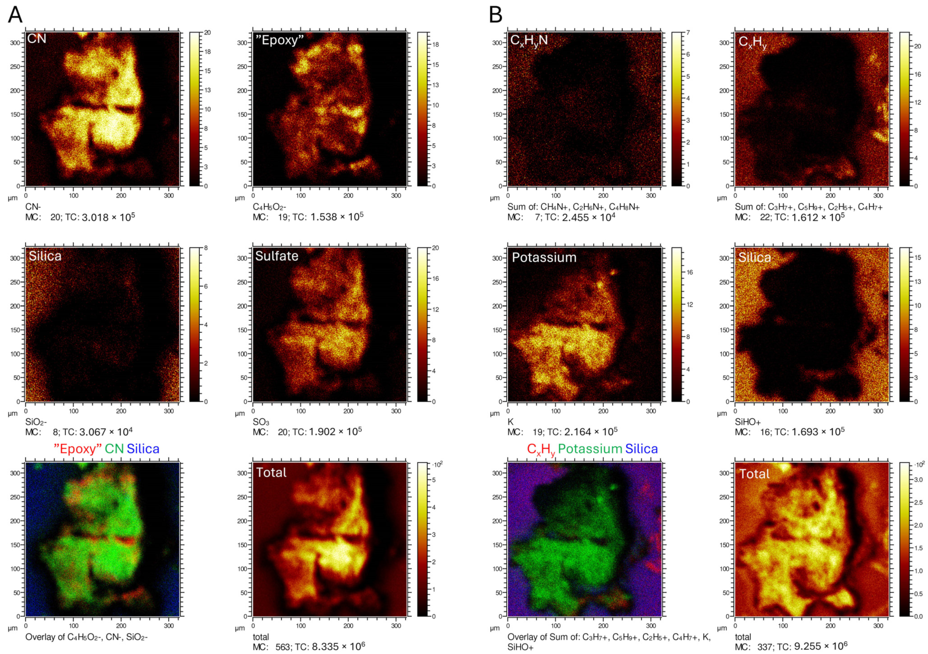 Diversity 16 00492 g0a2
