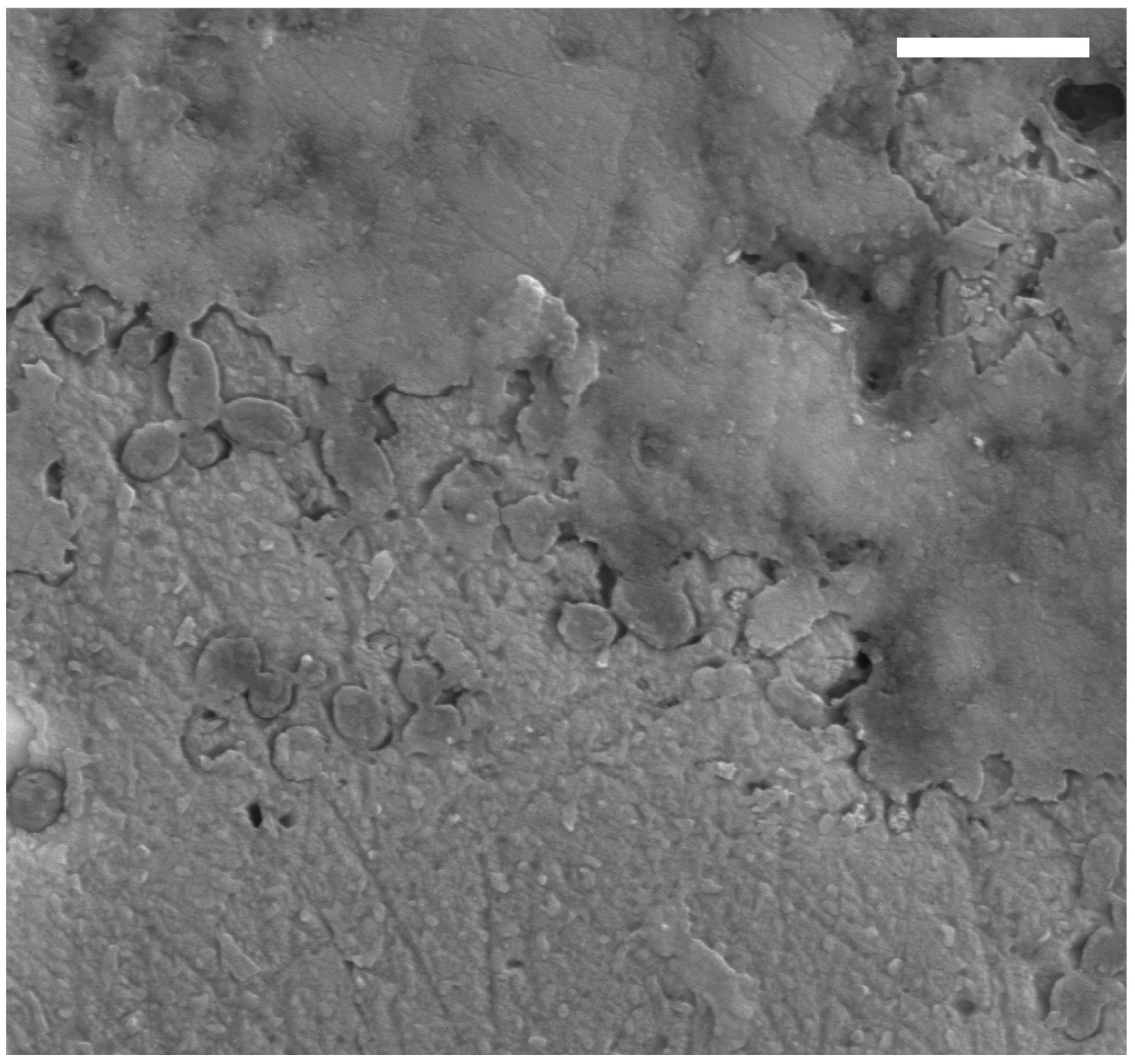 Diversity 16 00492 g0a4