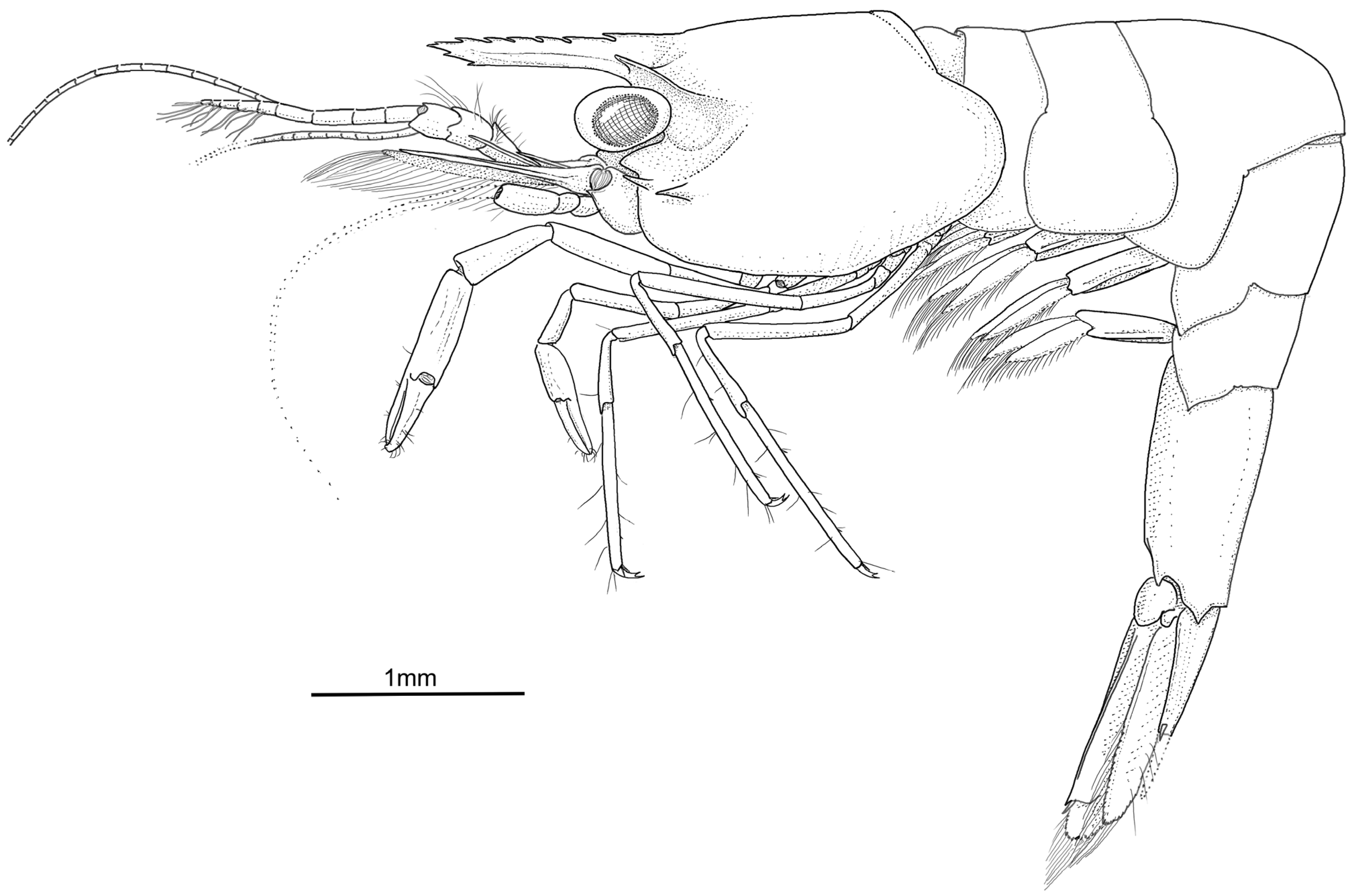 Diversity 16 00493 g003 Diversity 16 00493 g003