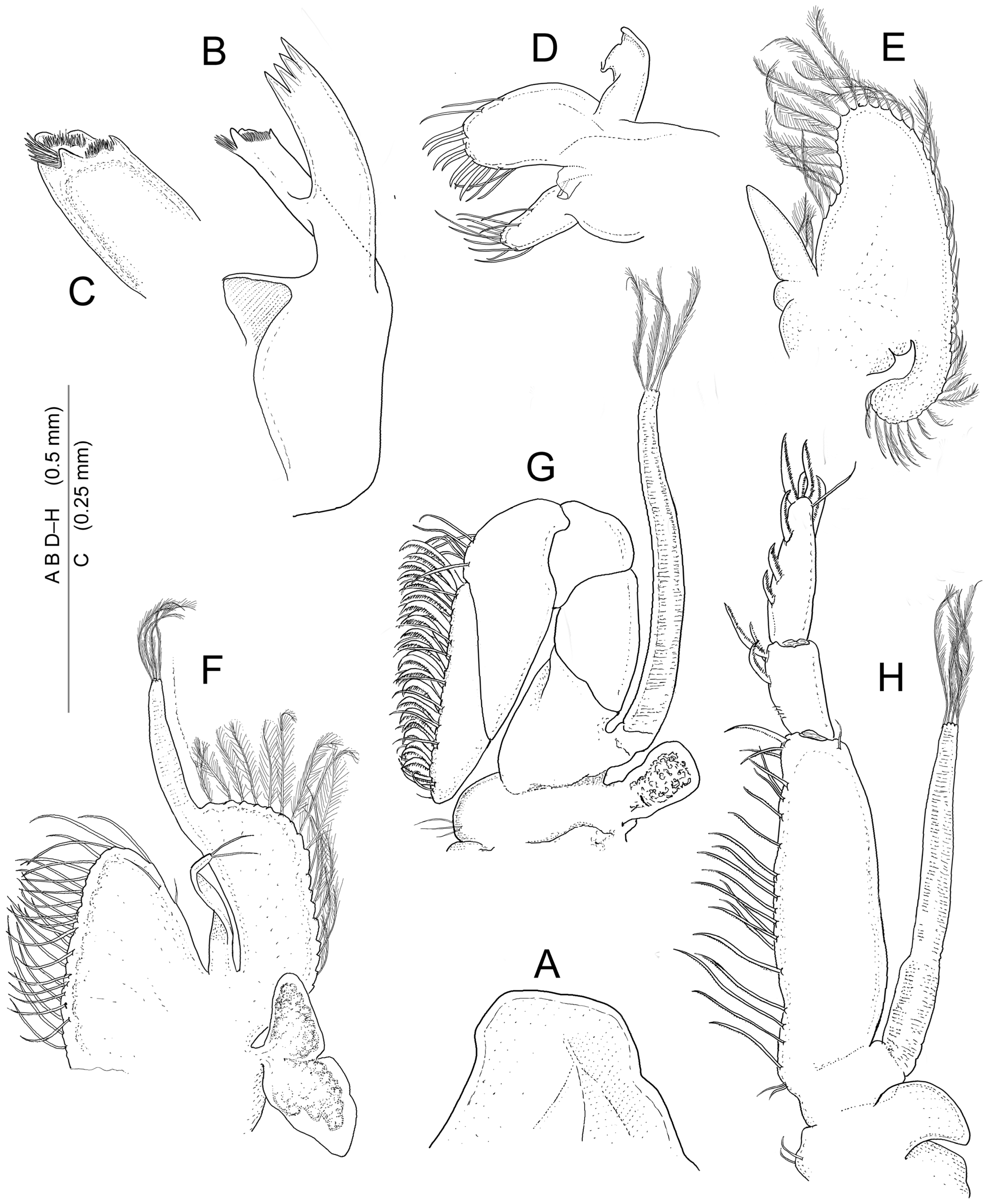 Diversity 16 00493 g005 Diversity 16 00493 g005