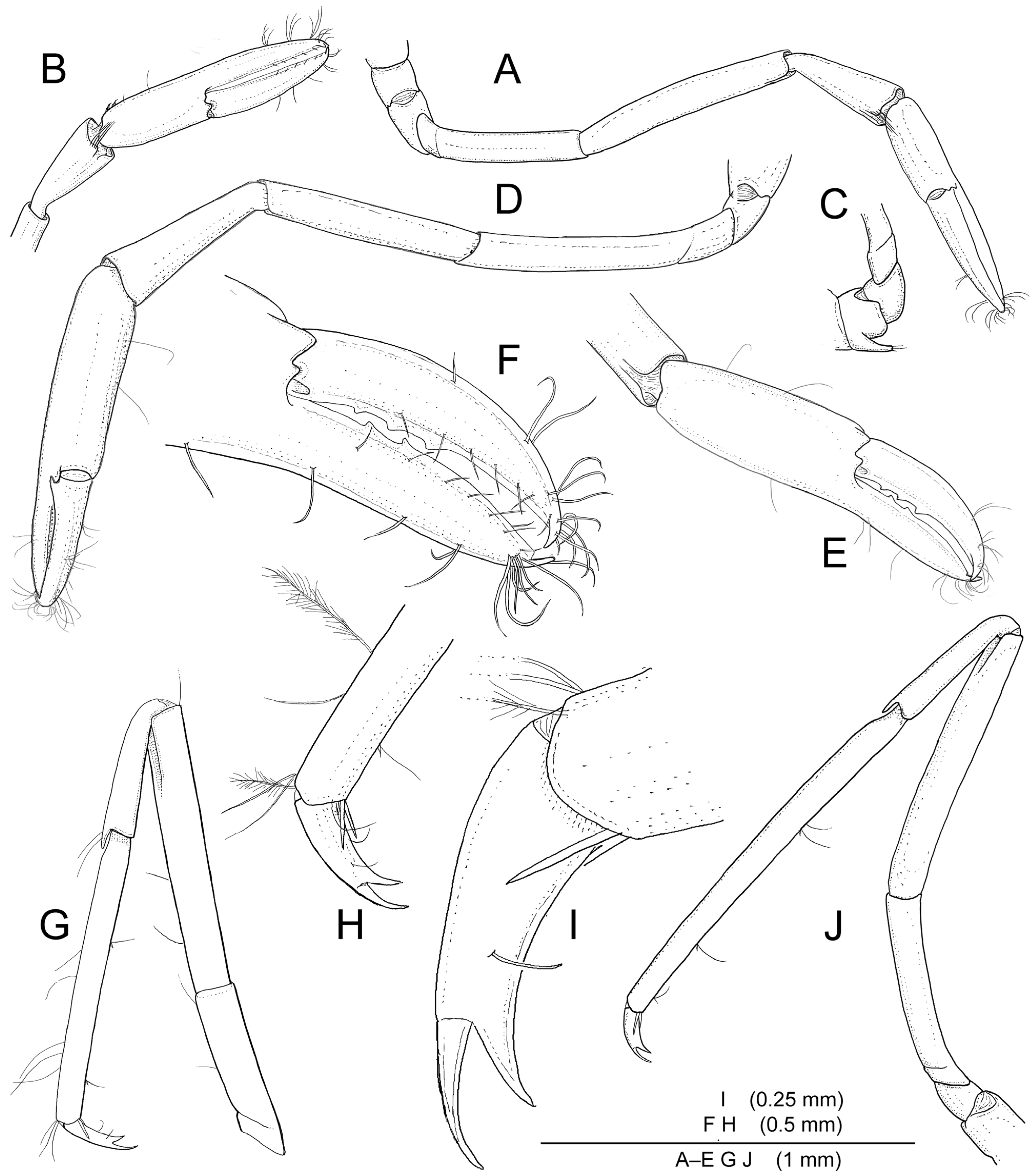 Diversity 16 00493 g006 Diversity 16 00493 g006