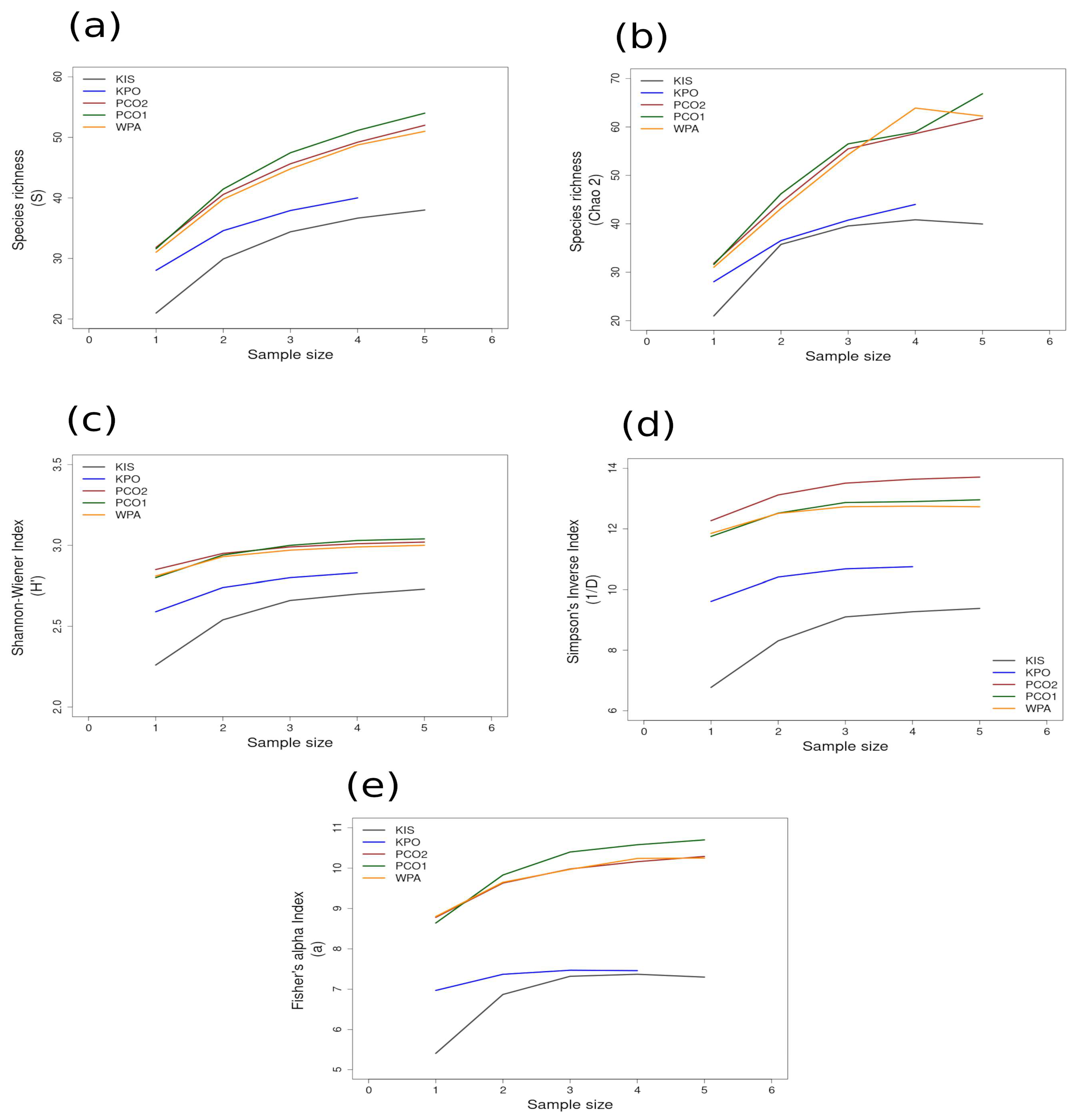 Diversity 16 00498 g006
