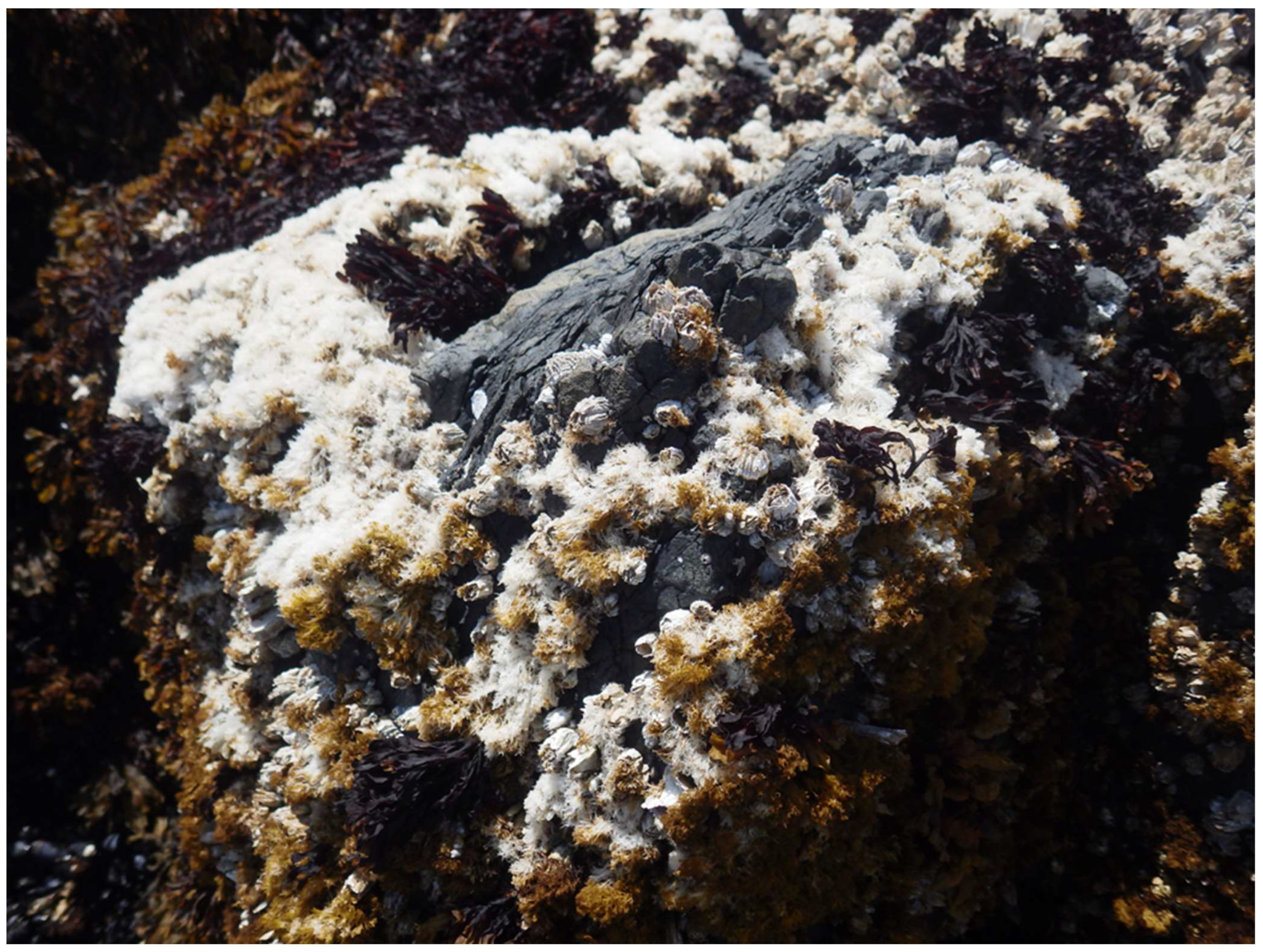 Diversity 16 00498 g013