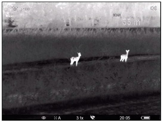 Diversity 16 00500 g0a2