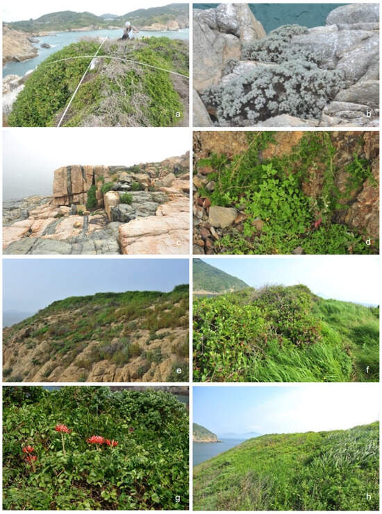 Diversity 16 00501 g0a2a