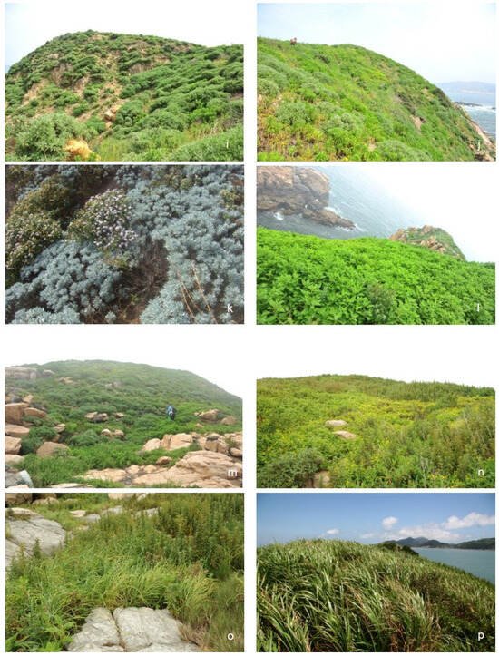 Diversity 16 00501 g0a2b