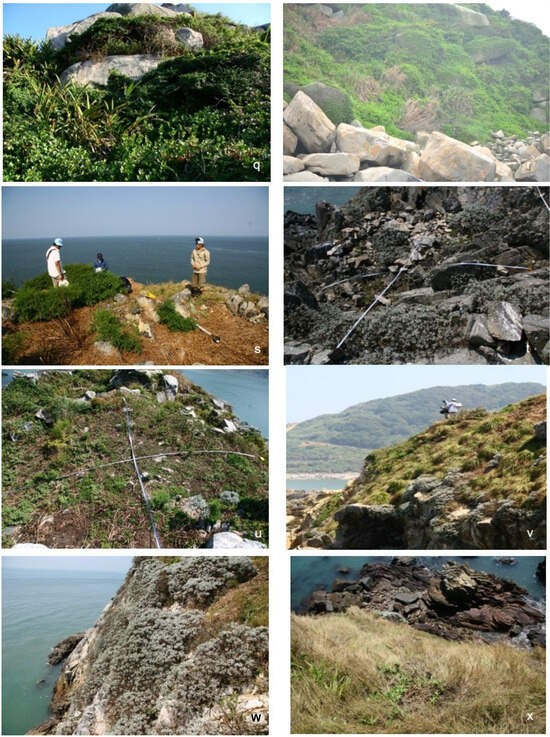 Diversity 16 00501 g0a2c