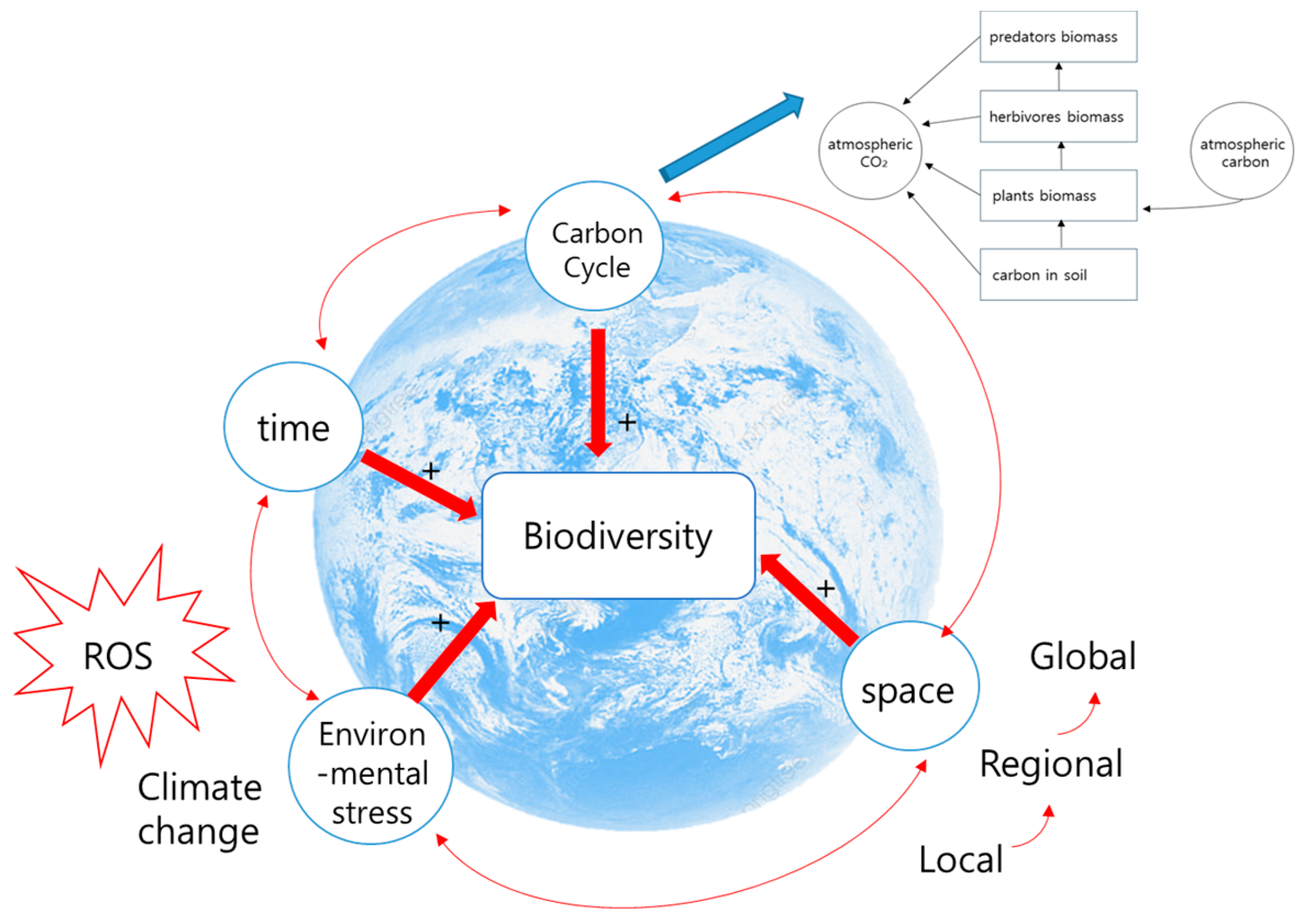 Diversity 16 00506 g002